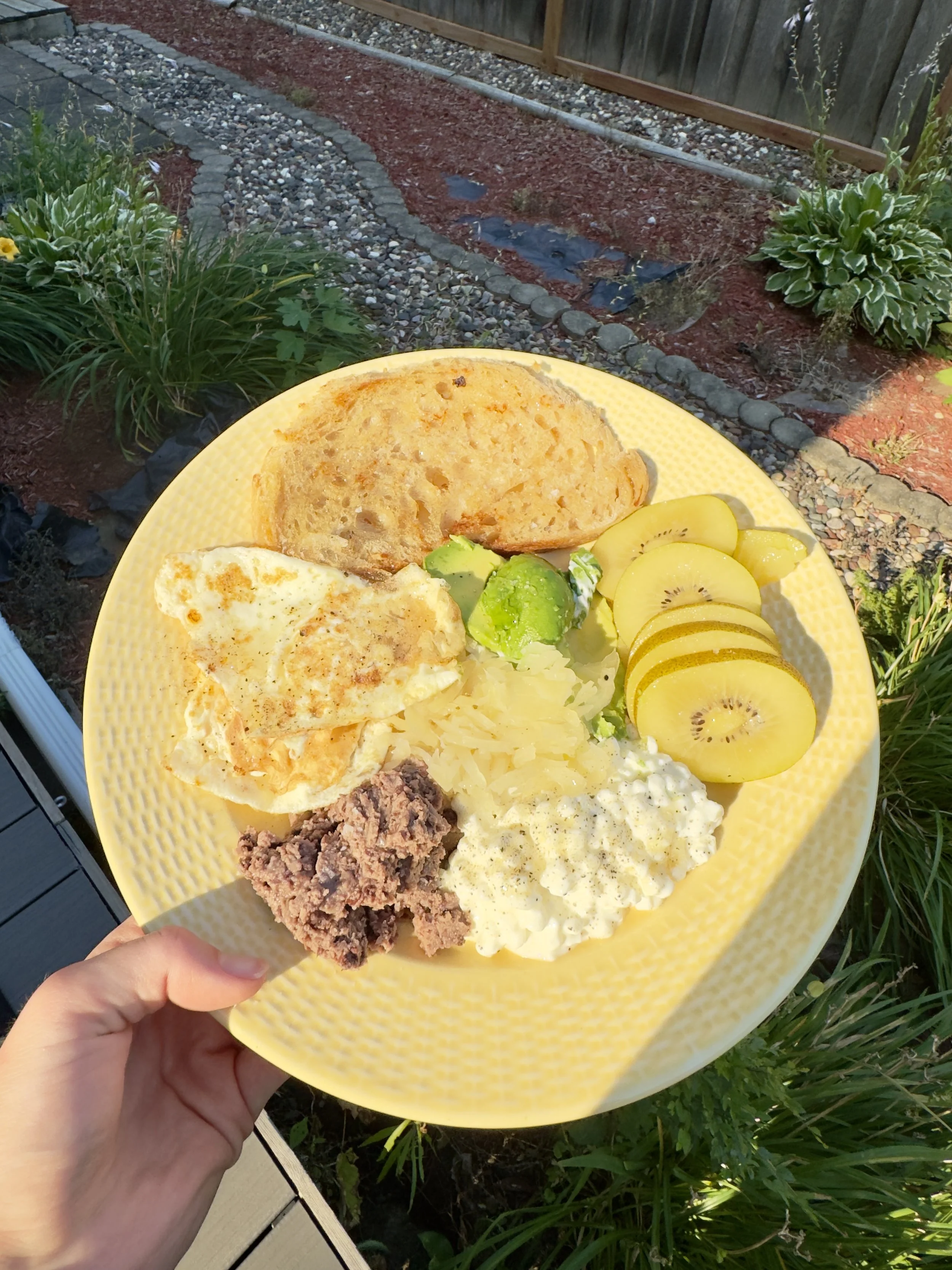 A yellow plate held in a person's hand contains a slice of bread with a spread, a boiled egg, a piece of spinach, slices of kiwi, shredded cheese, and a scoop of ground meat, with a garden and gravel path in the background.