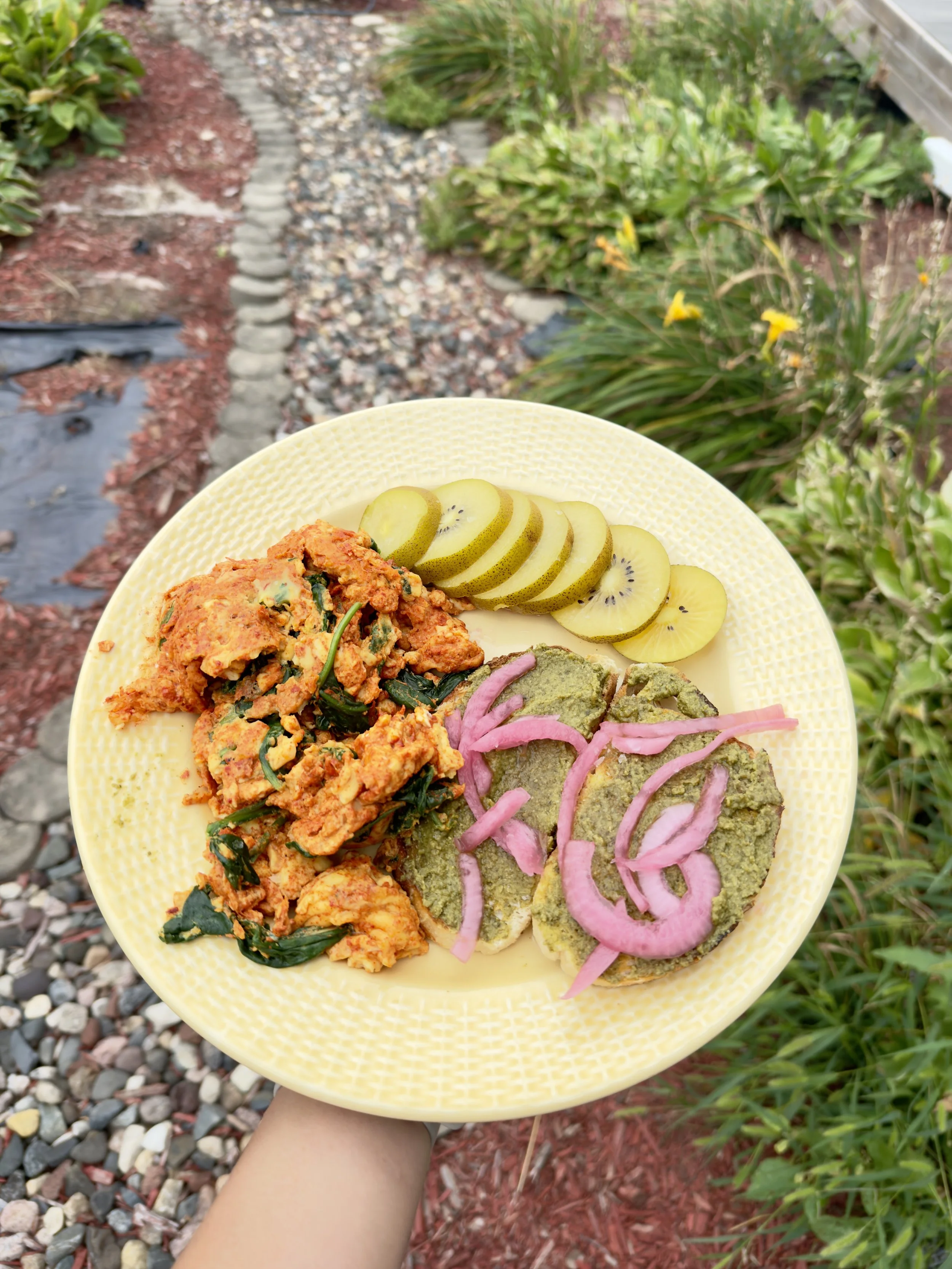 A person holding a yellow patterned plate of food outdoors, featuring sliced kiwis, a spicy dish with vegetables, and green pâté garnished with pink pickled onions, with a garden path and plants in the background.