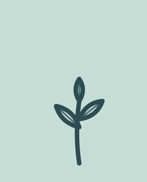 Minimalist illustration of a small plant with three leaves on a light green background.