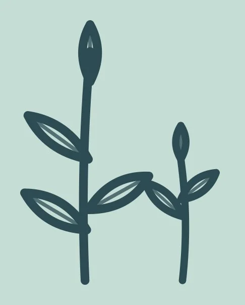 Minimalist illustration of two plant stems with leaves and buds on a light background.