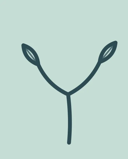 Simple line drawing of a Y-shaped plant stem with two small leaves at the top on a light background.