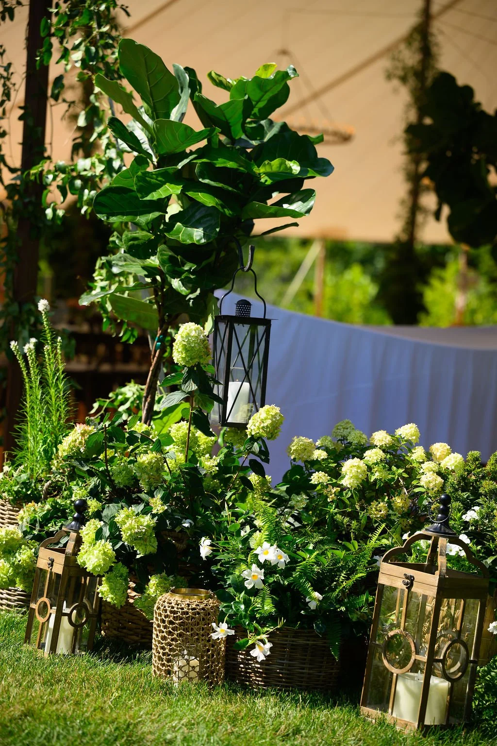 LRFLOWER-164.jpg