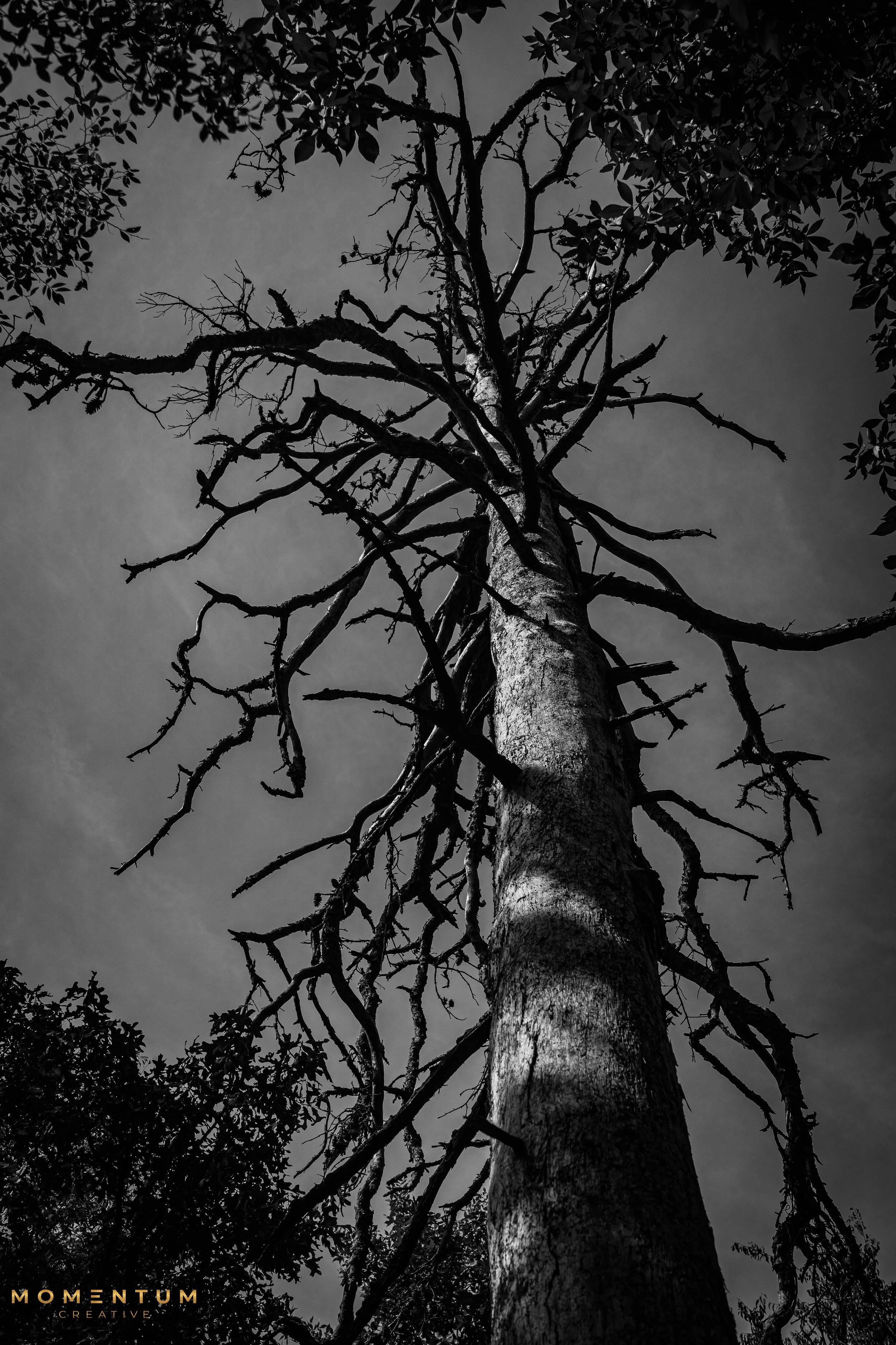 DSC07905-2.jpg