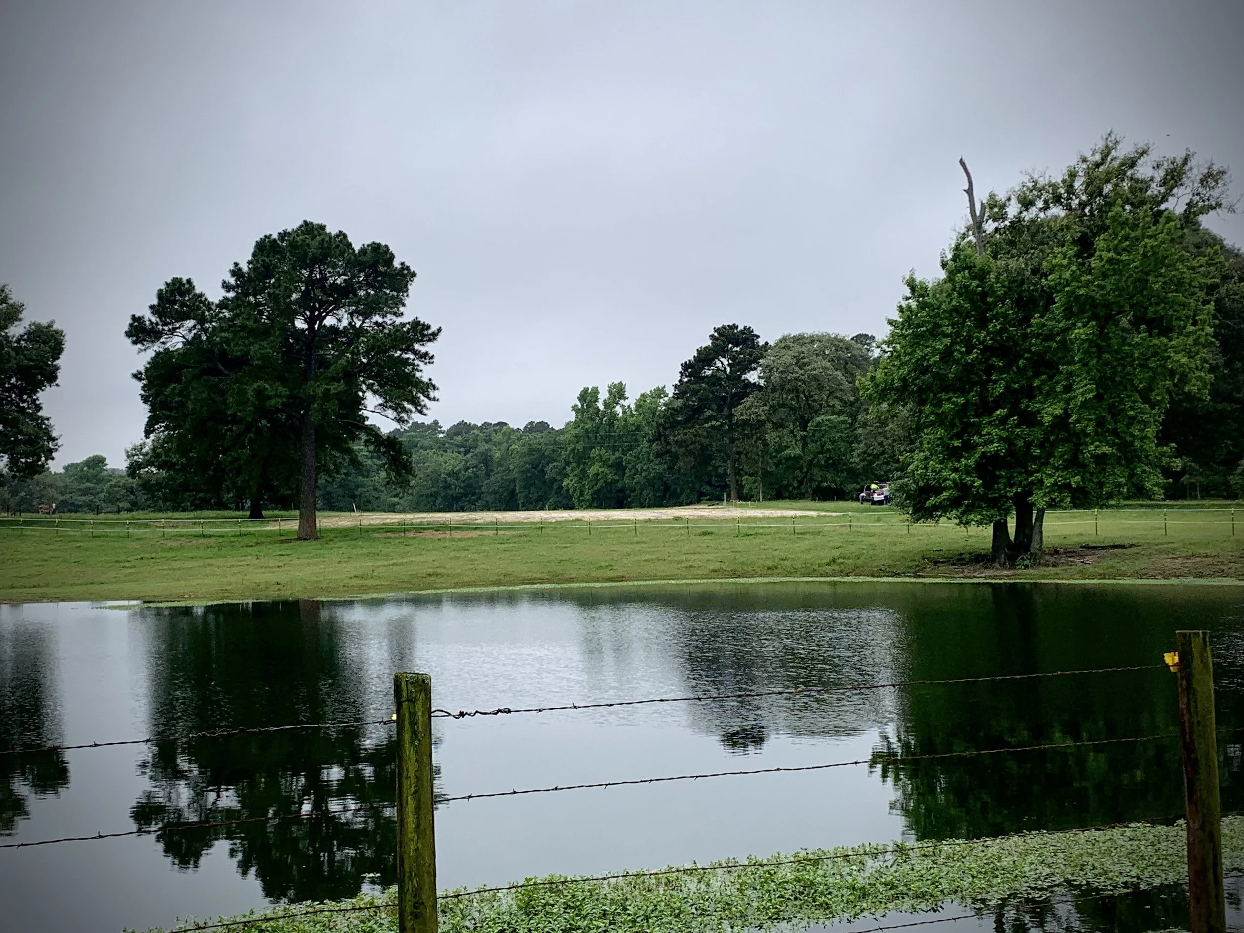 A peaceful lakeside scene with calm water, green trees, and an overcast sky.