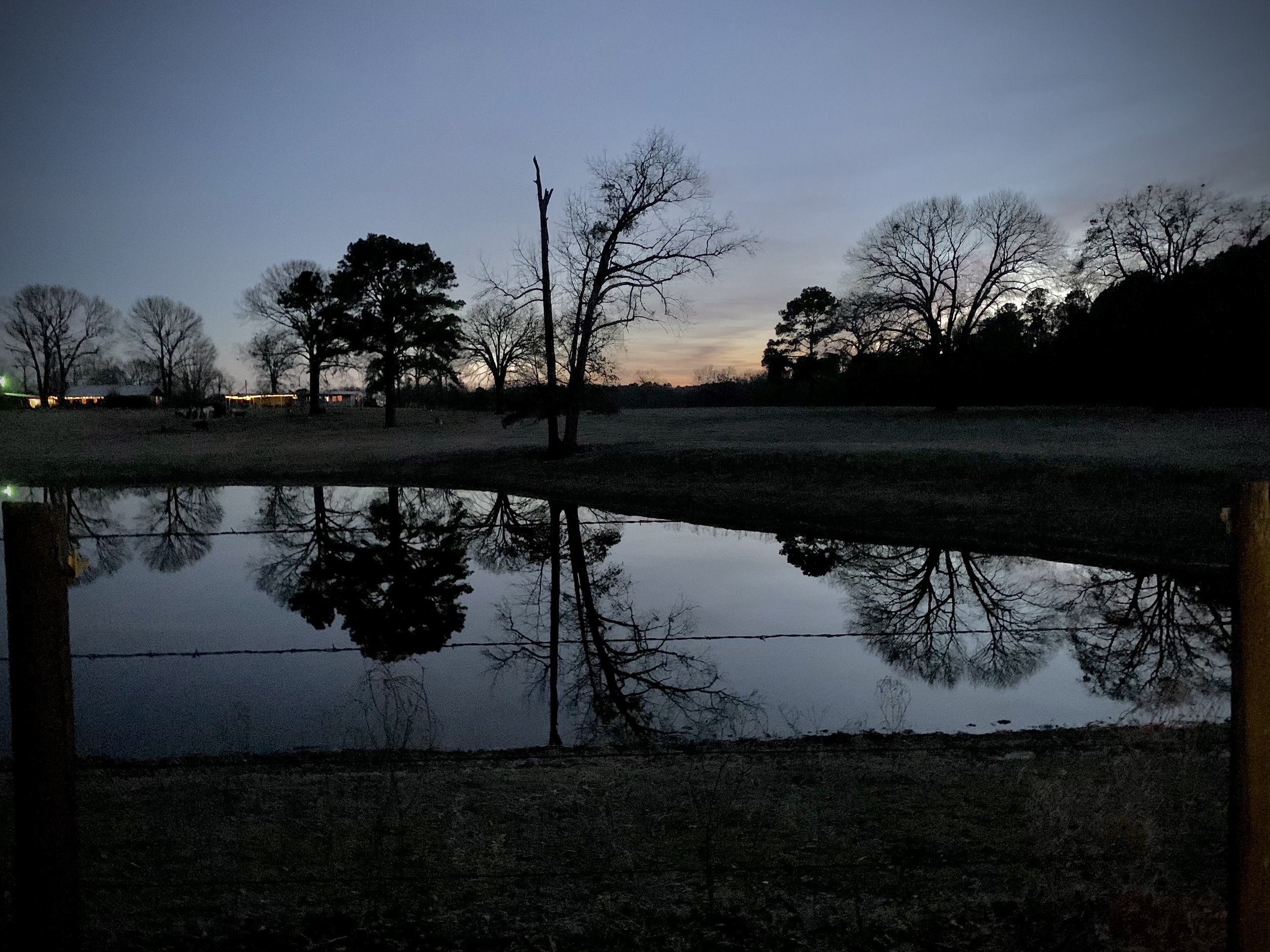 A scenic view of a small lake or pond with trees along the shore during dusk or dawn, reflecting the trees and fading sky in the water, with some houses and lights visible in the background.