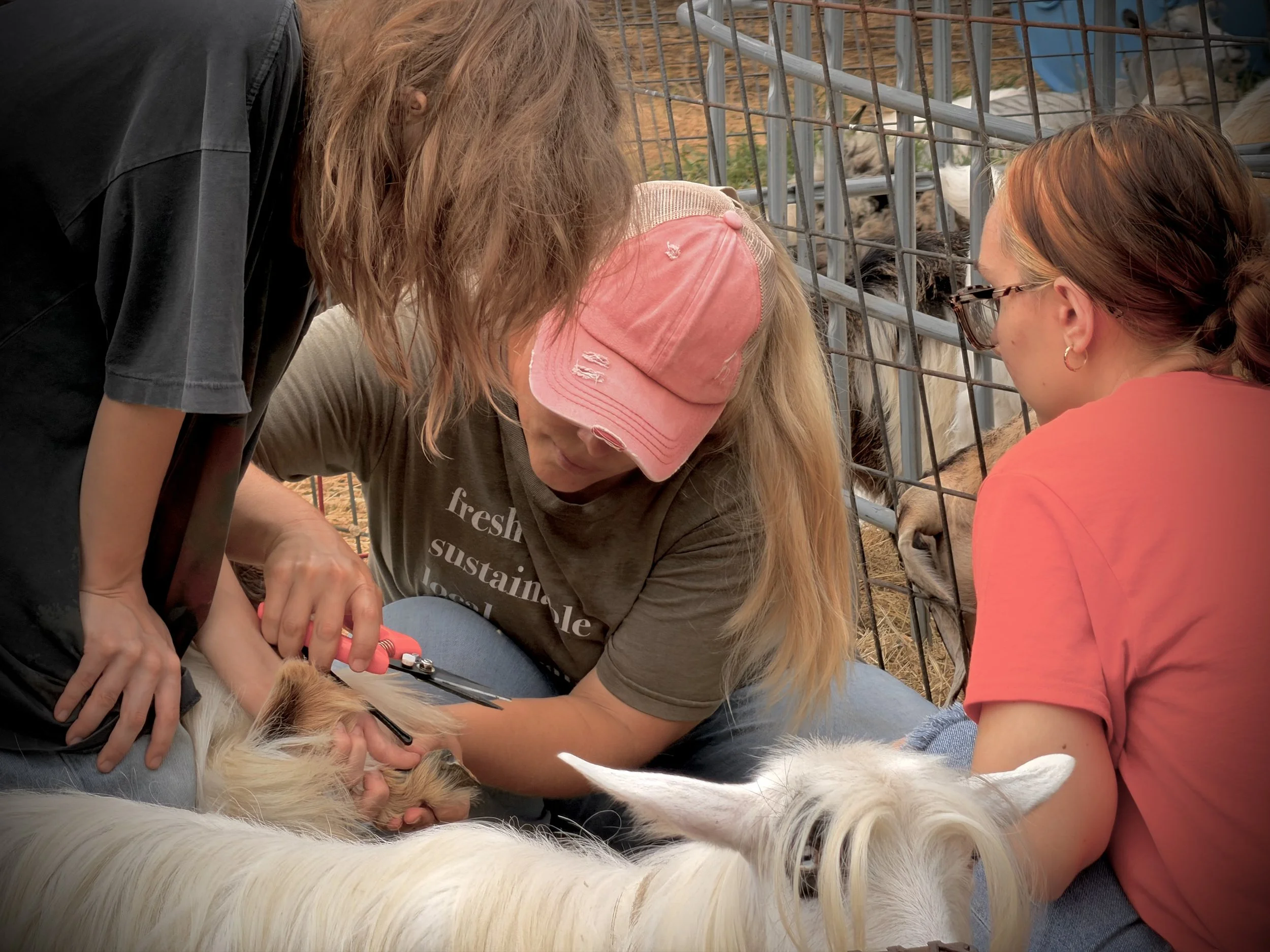 Three women are kneeling and sitting around a dog inside a fenced area, examining or grooming the dog together.