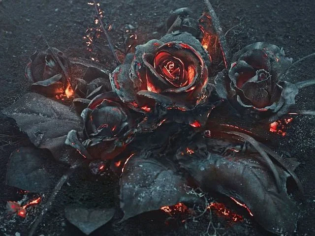 Burned black roses and leaves on dark ground with glowing embers.