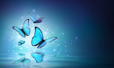 Blue butterflies flying over water with sparkles and reflections.
