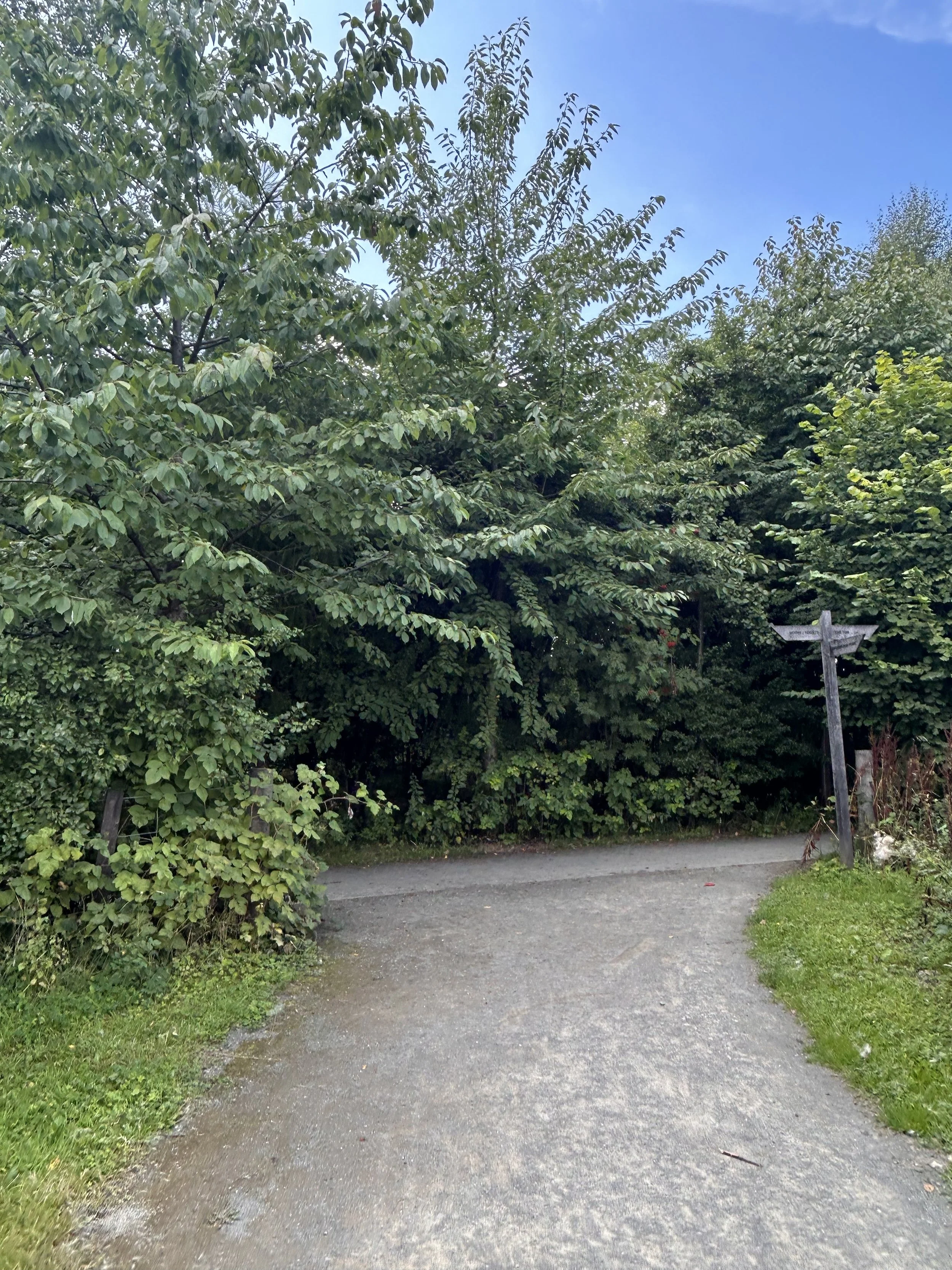 A gravel walking path surrounded by lush green trees and bushes, with a wooden signpost on the right side.