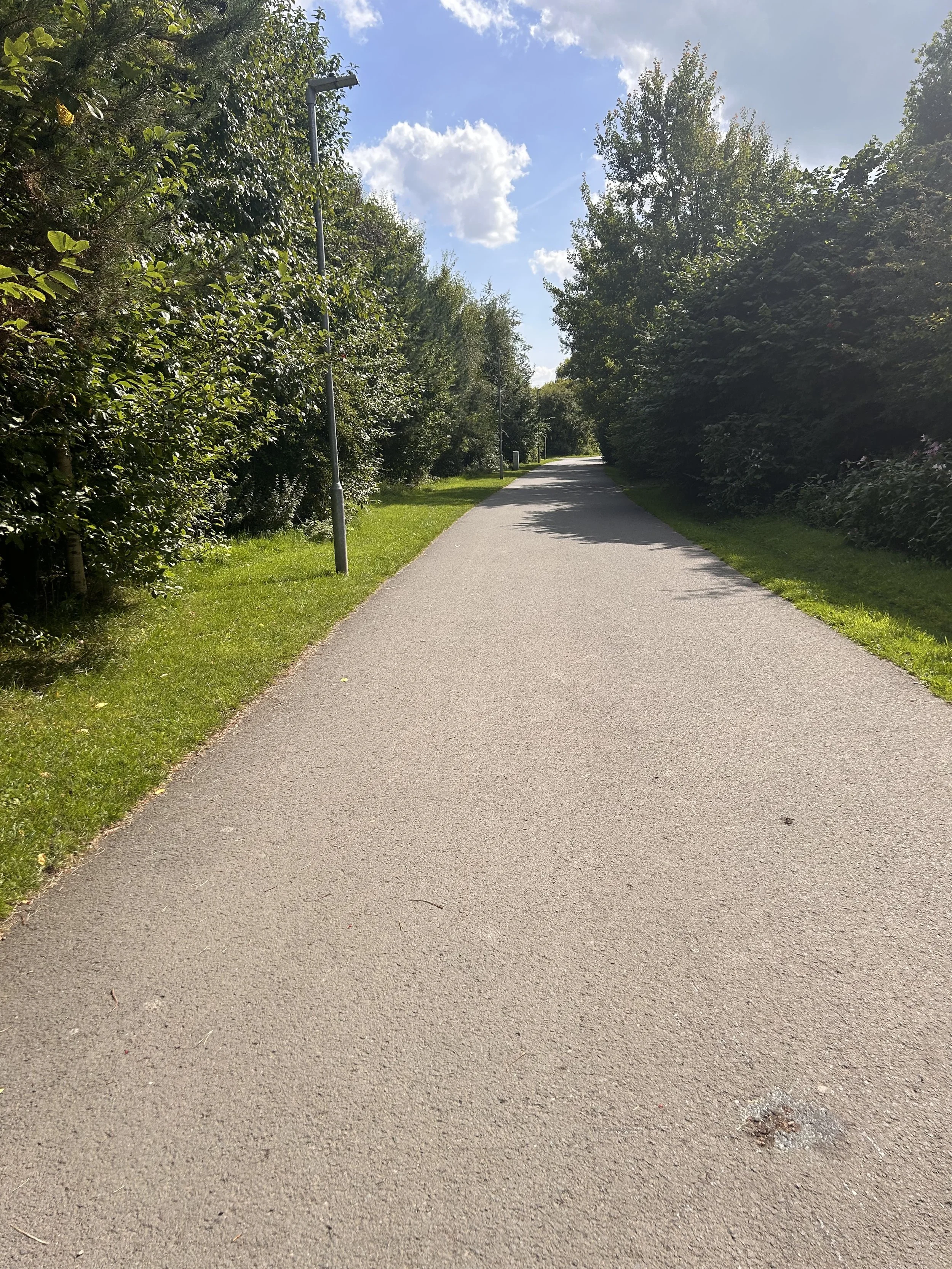 A paved path running through a green park on a sunny day, flanked by trees and bushes with street lamps along the path.