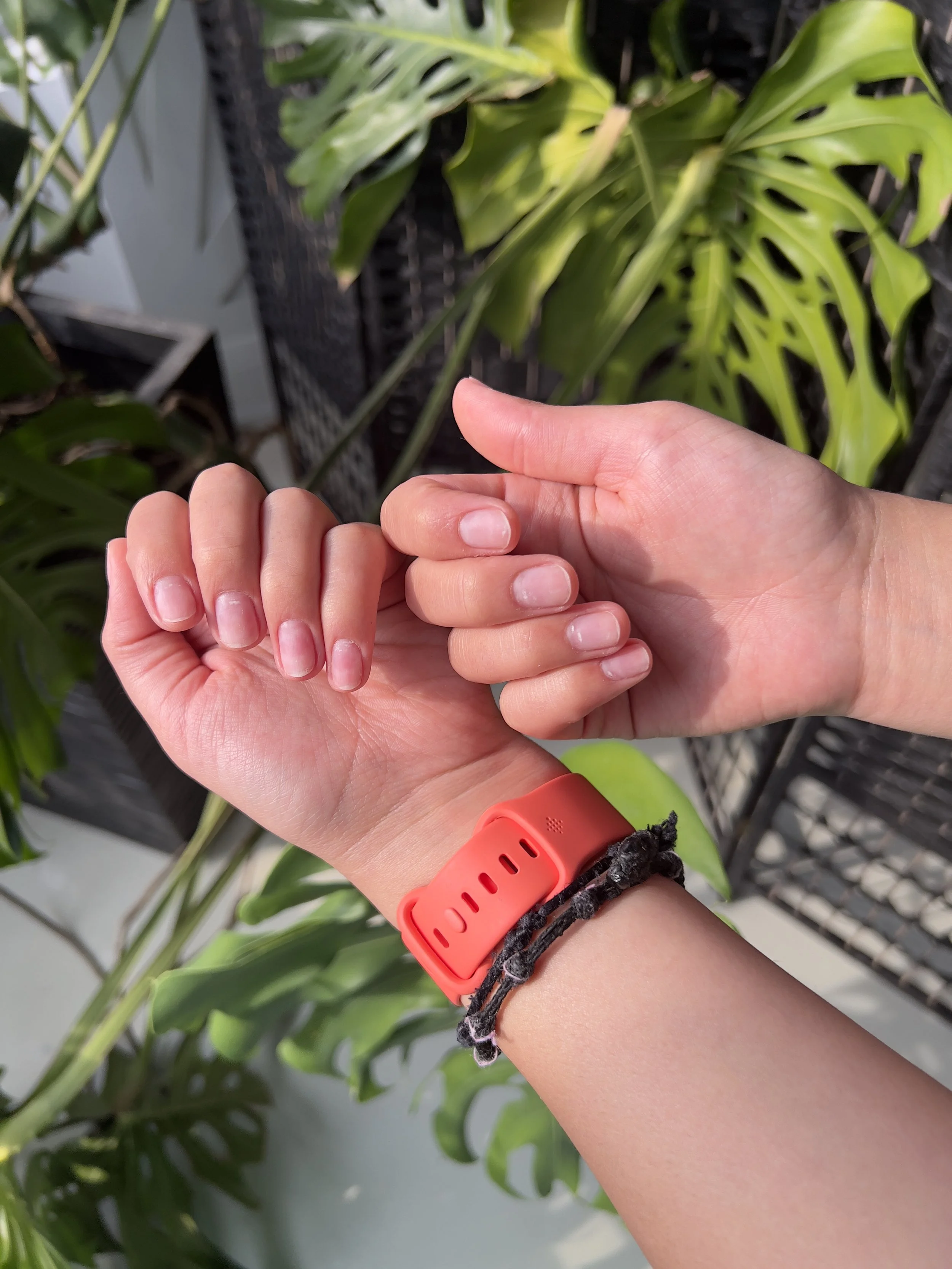 A person's arm and hand with a coral-colored wristband and a braided black bracelet, holding a leaf of a large green plant with split leaves, on a balcony or terrace with a railing and green foliage in the background.