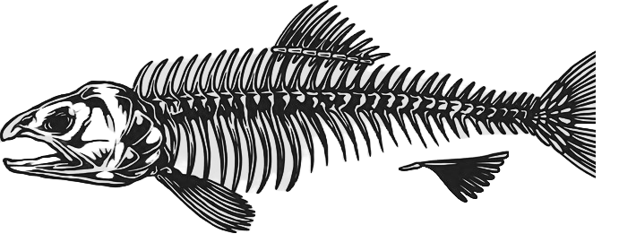 Illustration of a fish skeleton