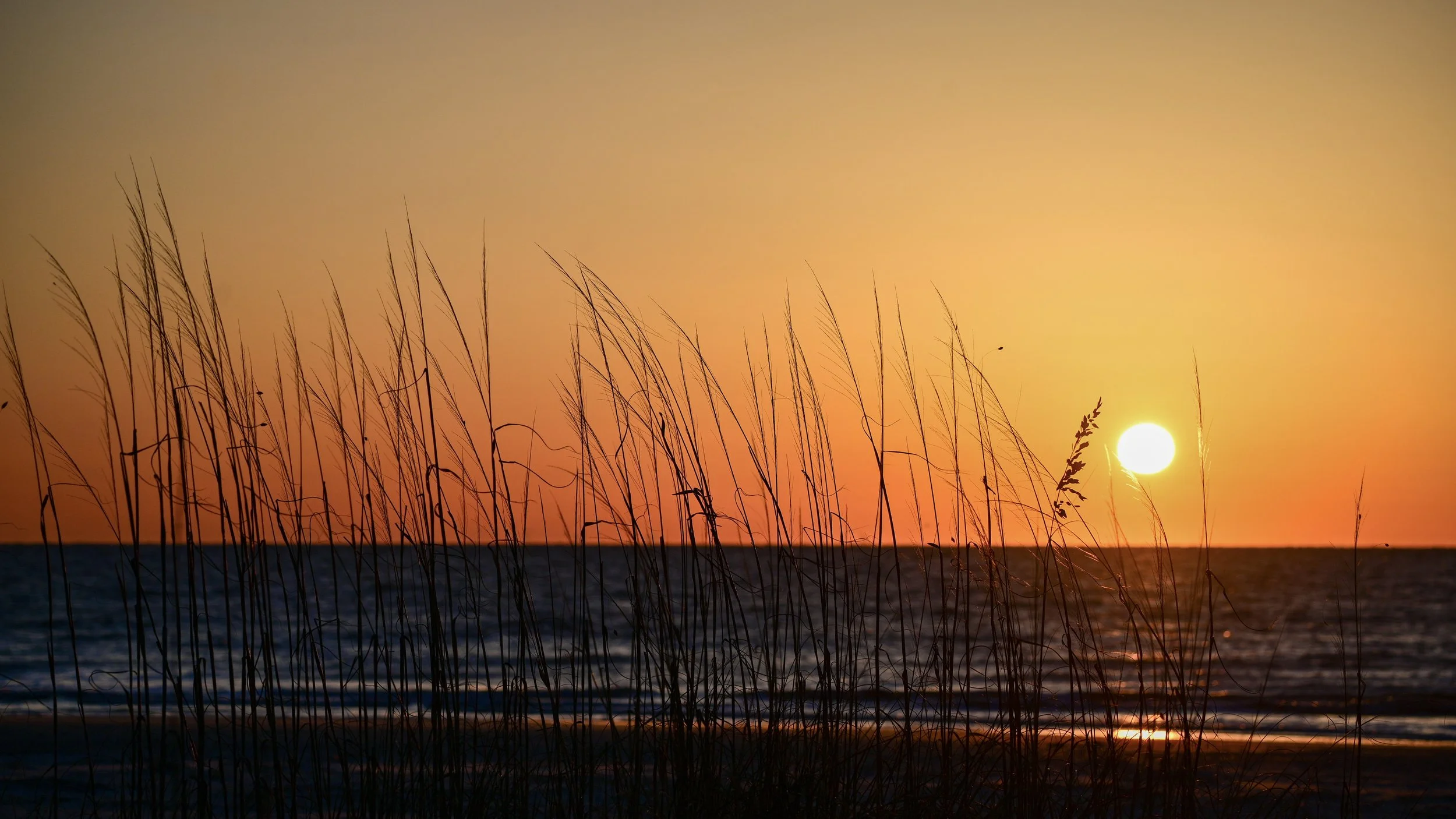 7-Sunrise over Hunting Island beach, SC.jpg