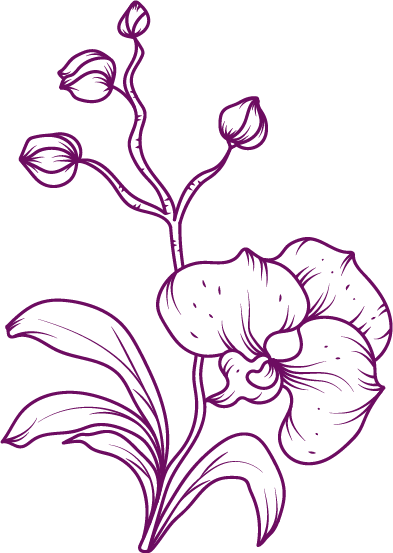 Illustration of a purple orchid flower with a leaf on a black background.