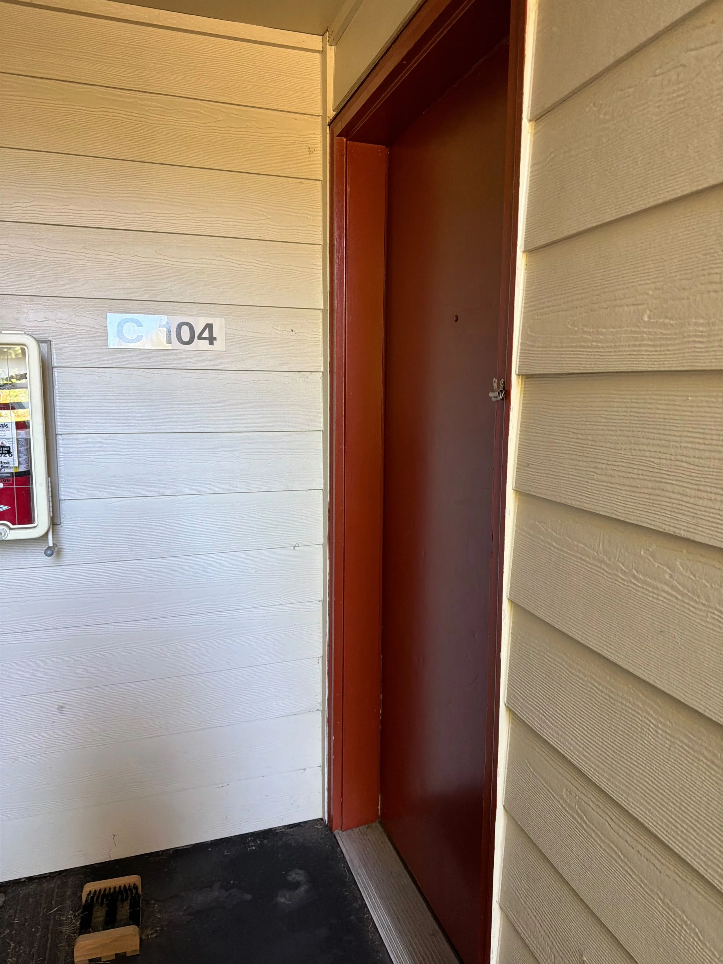 An apartment building front door with a fire extinguisher box on the wall to the left and a small boot scraper on the ground in front of the door.