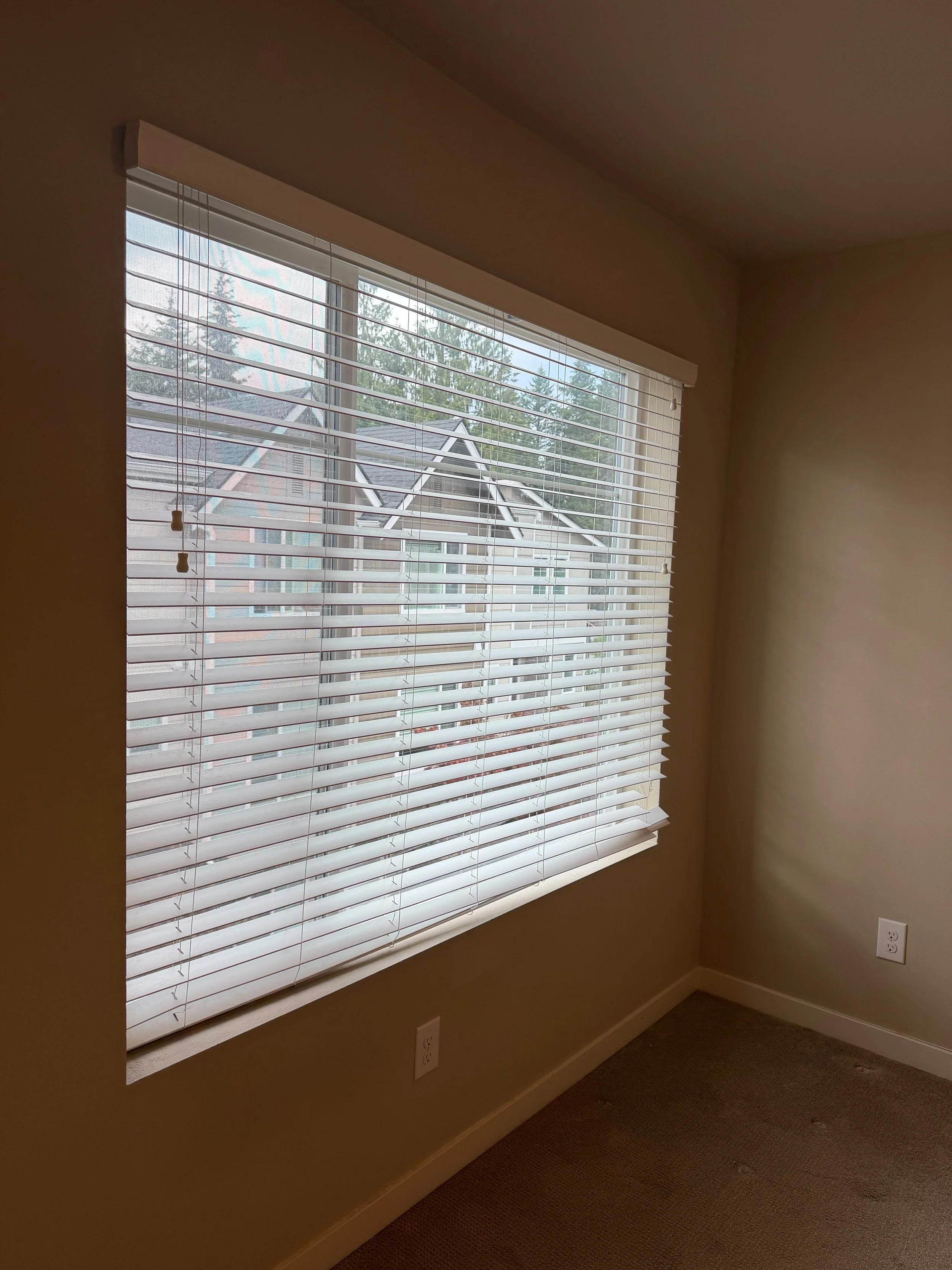 A room with a large window that has white horizontal blinds covering it. Outside the window, trees and rooftops can be seen. The wall is painted in a beige color, and there are electrical outlets near the floor.