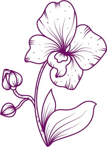 Line drawing of a flower with a large bloom and two buds, outlined in purple.
