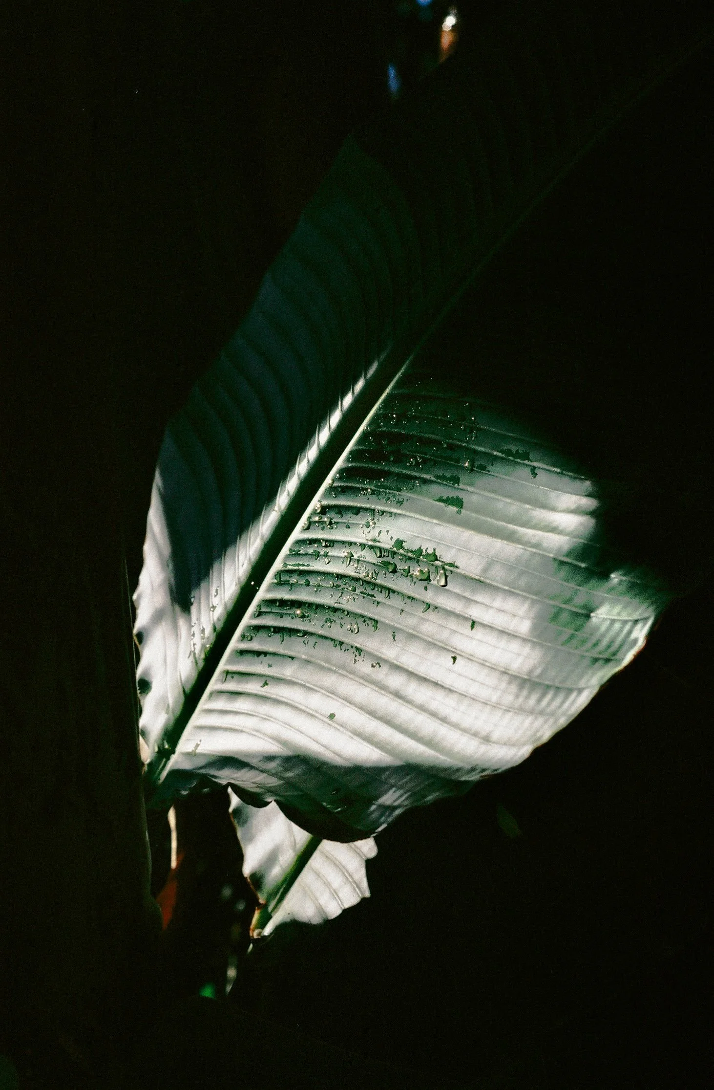 020