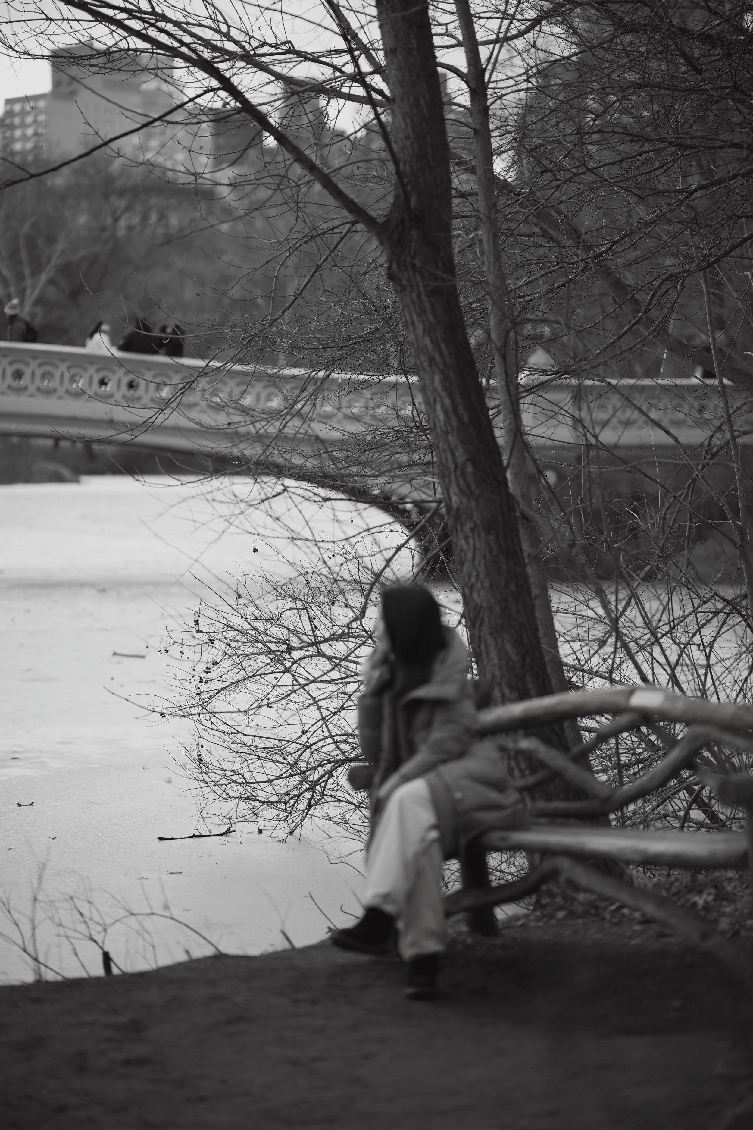 A person sitting on a bench with a backpack, near a leafless tree by a frozen body of water in an urban park. The background features a bridge and city buildings, captured in black and white.
