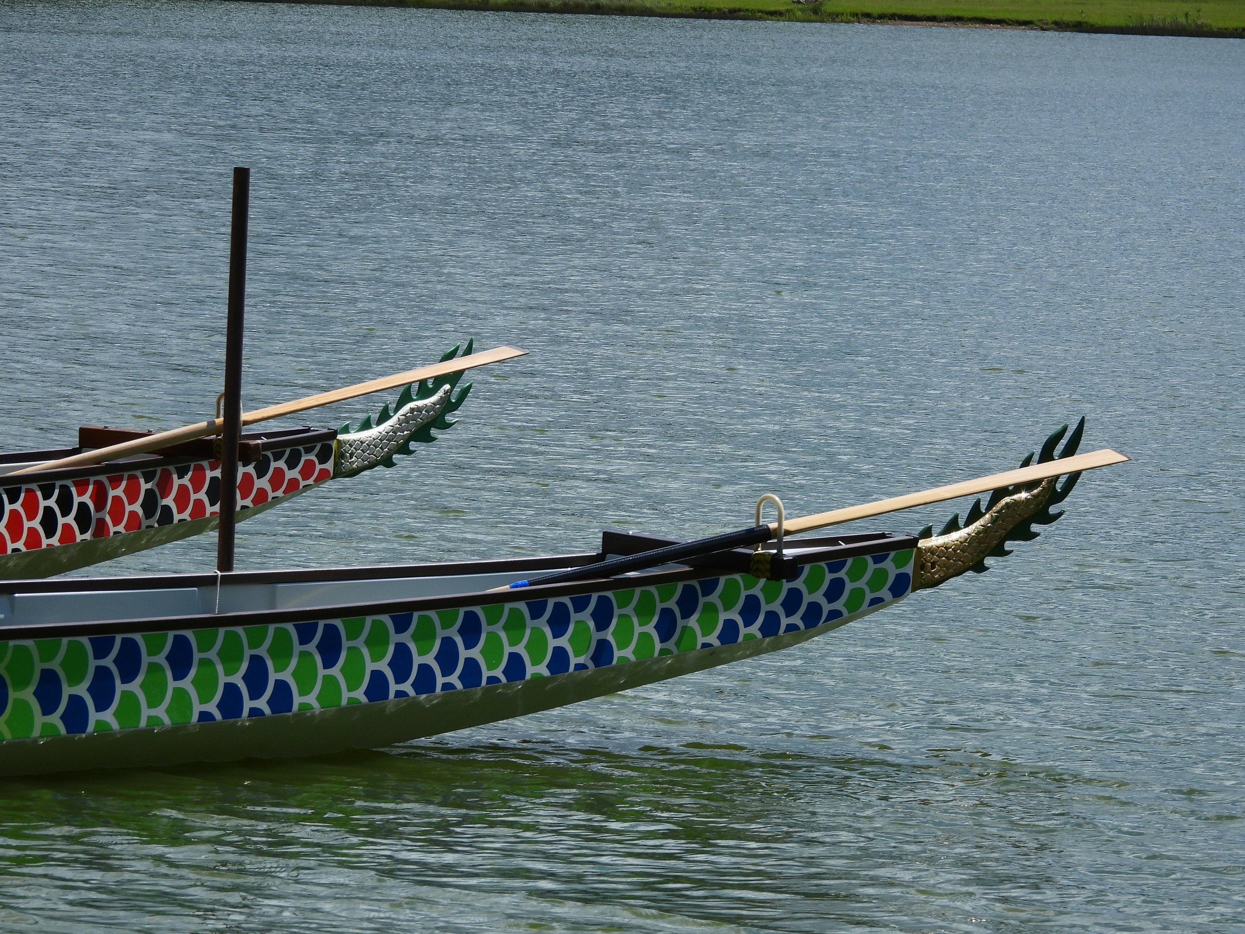 DSCN9348.JPG