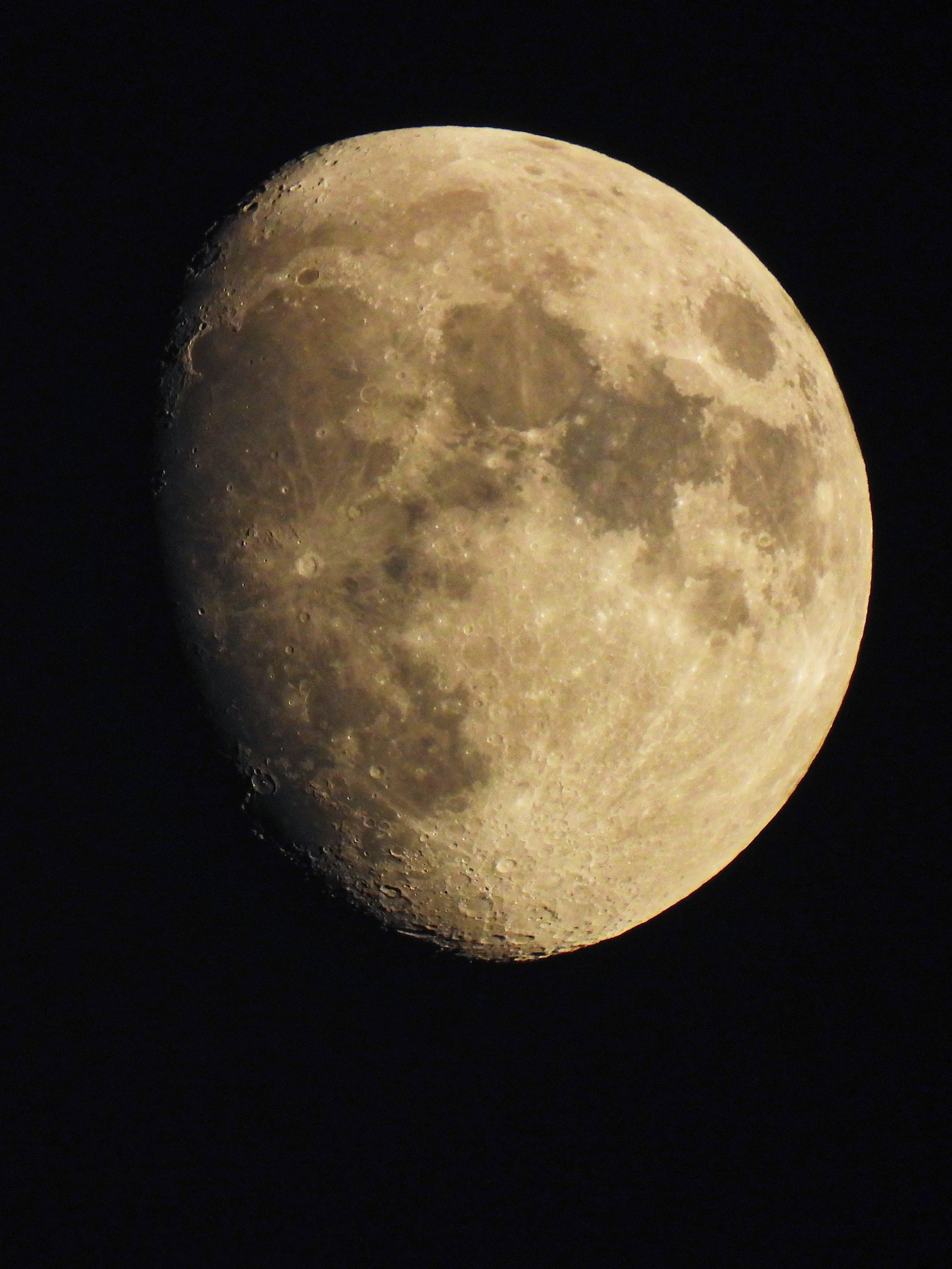 DSCN9737_DxO.jpg