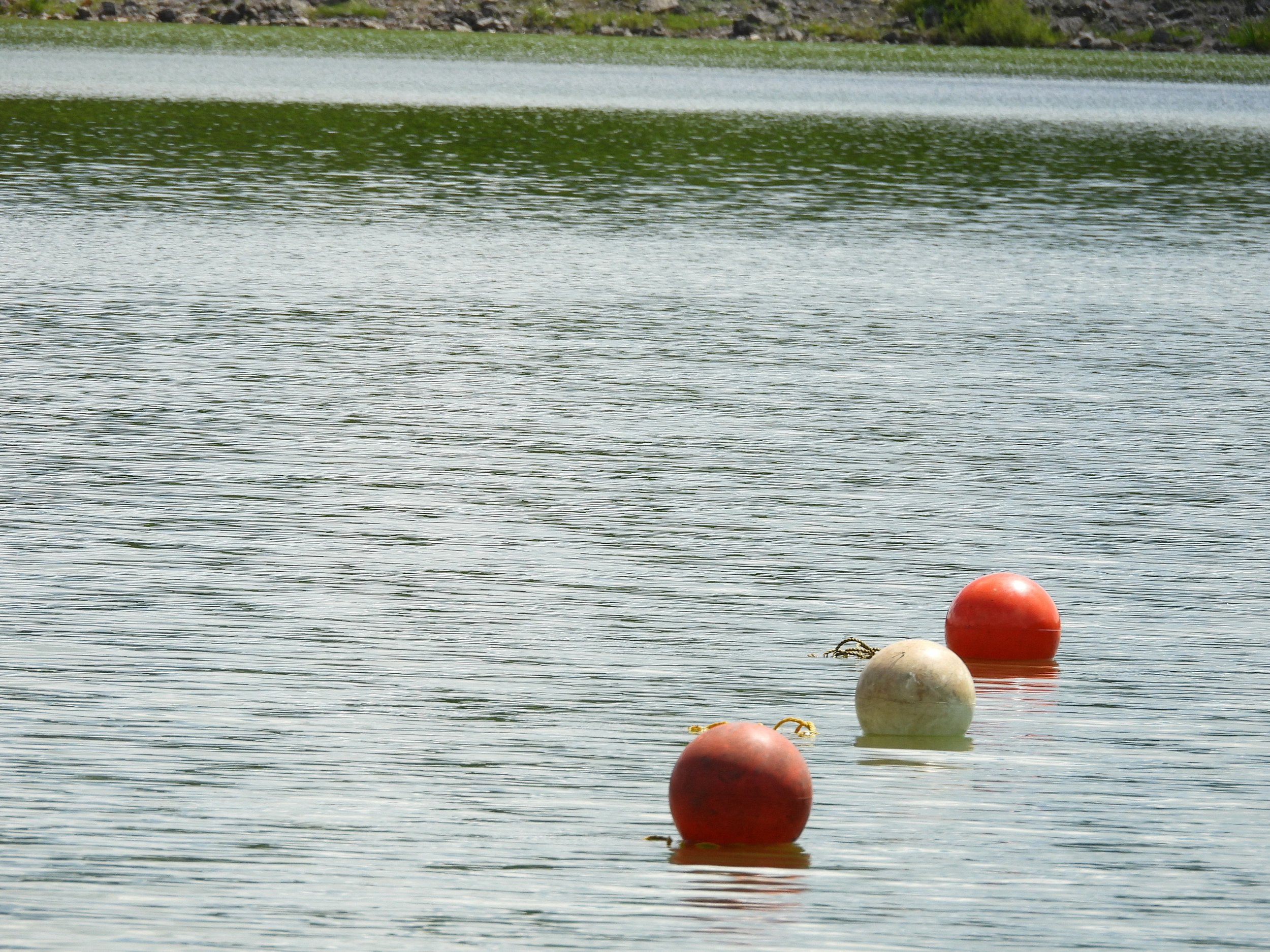 DSCN9598.JPG
