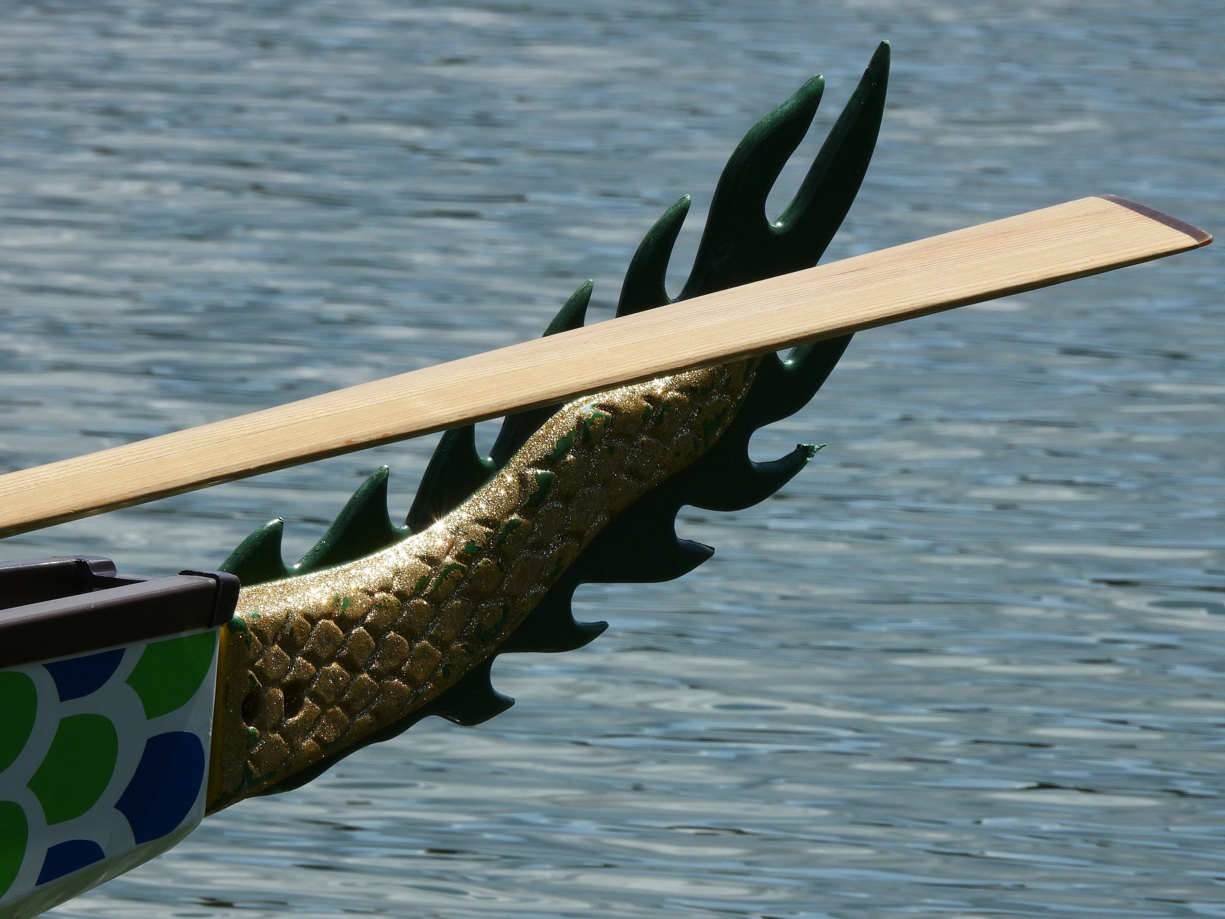 DSCN9370.JPG
