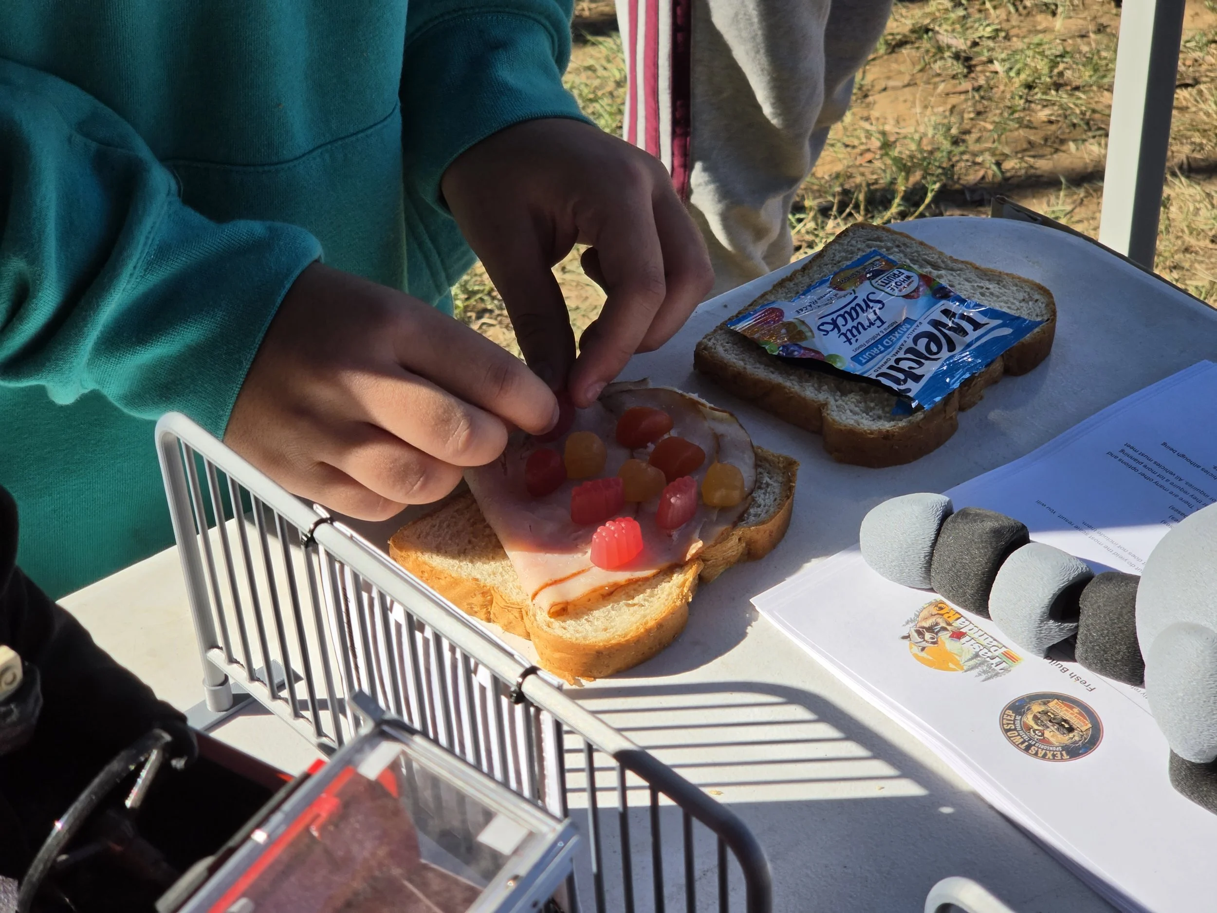Child preparing a sandwich filling it with gummy snacks.  The sandwich is on the table, with a miniature barricade and raccoon mascon tail nearby.