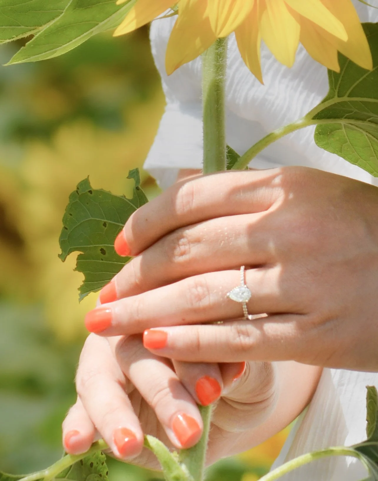    WEDDINGS | COUPLES |  ENGAGEMENTS 