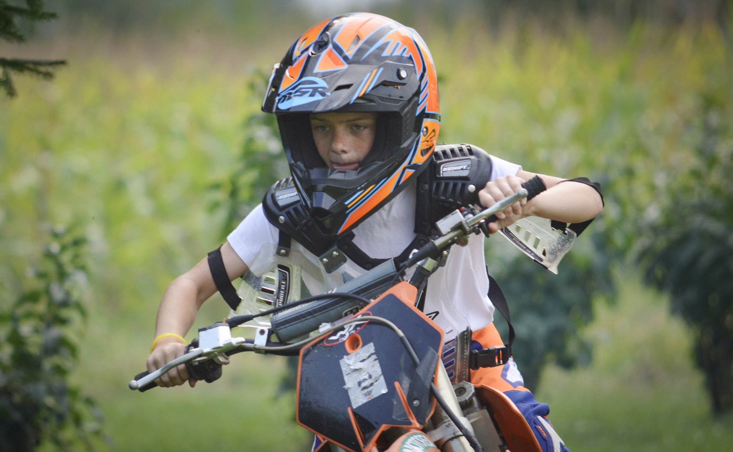   ON THE MOVE | SPORTS | SHOWMANSHIP