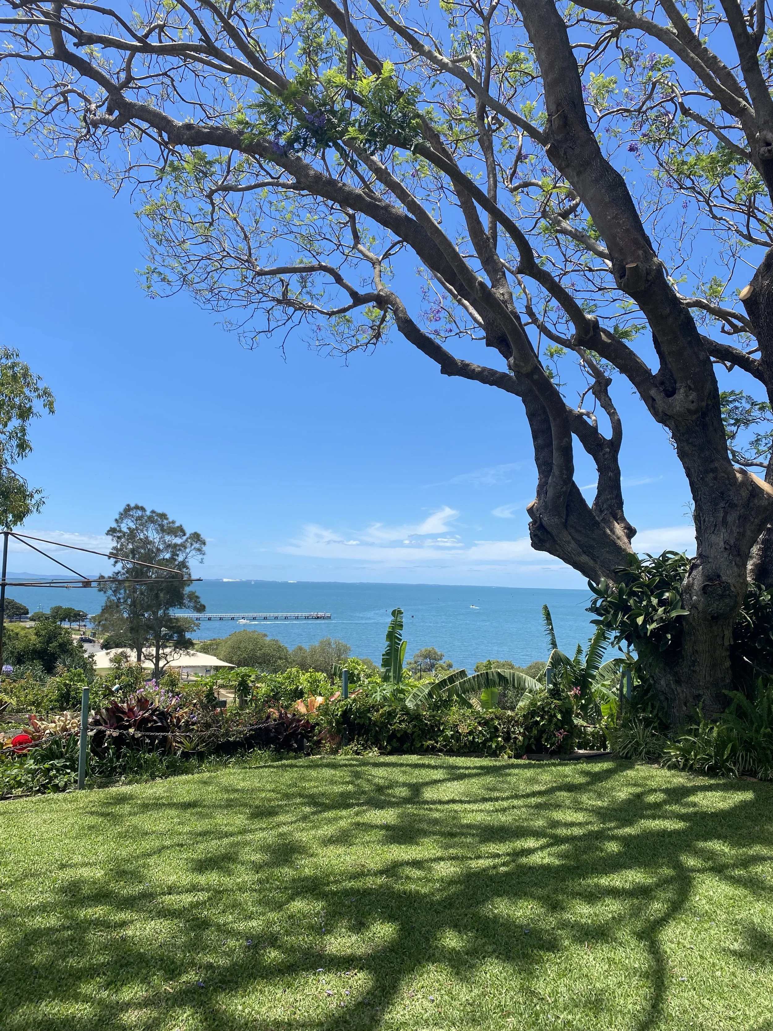 View of a lush green garden with a large tree in the foreground, overlooking the blue ocean and sky in the background, with scattered clouds and a pier extending into the water.
