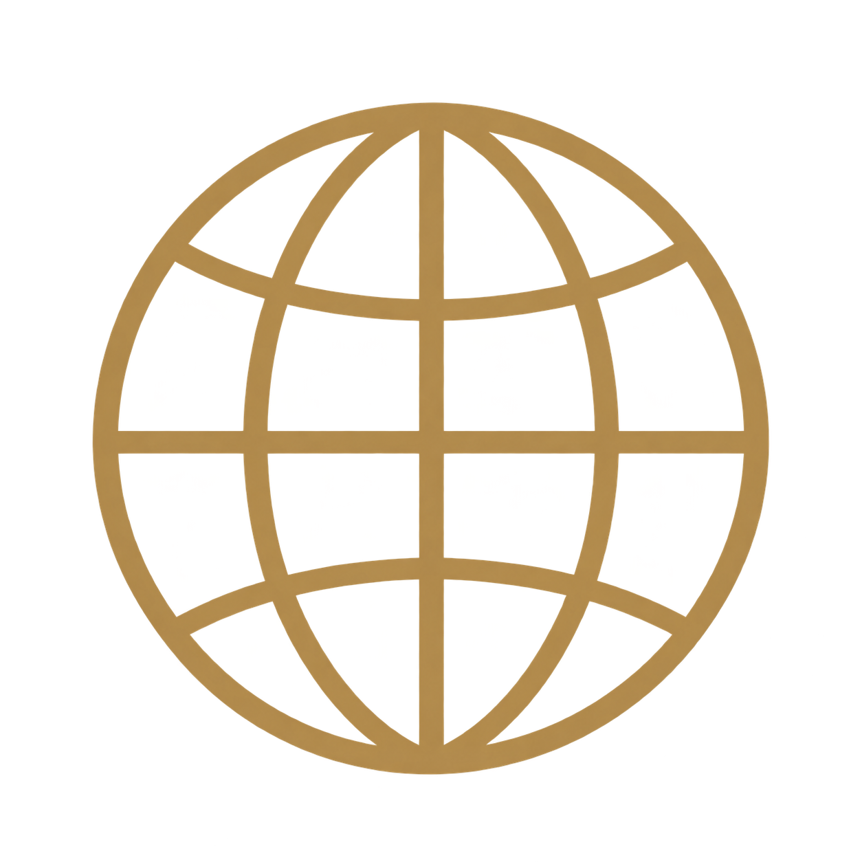 Globe icon representing immigration evaluations