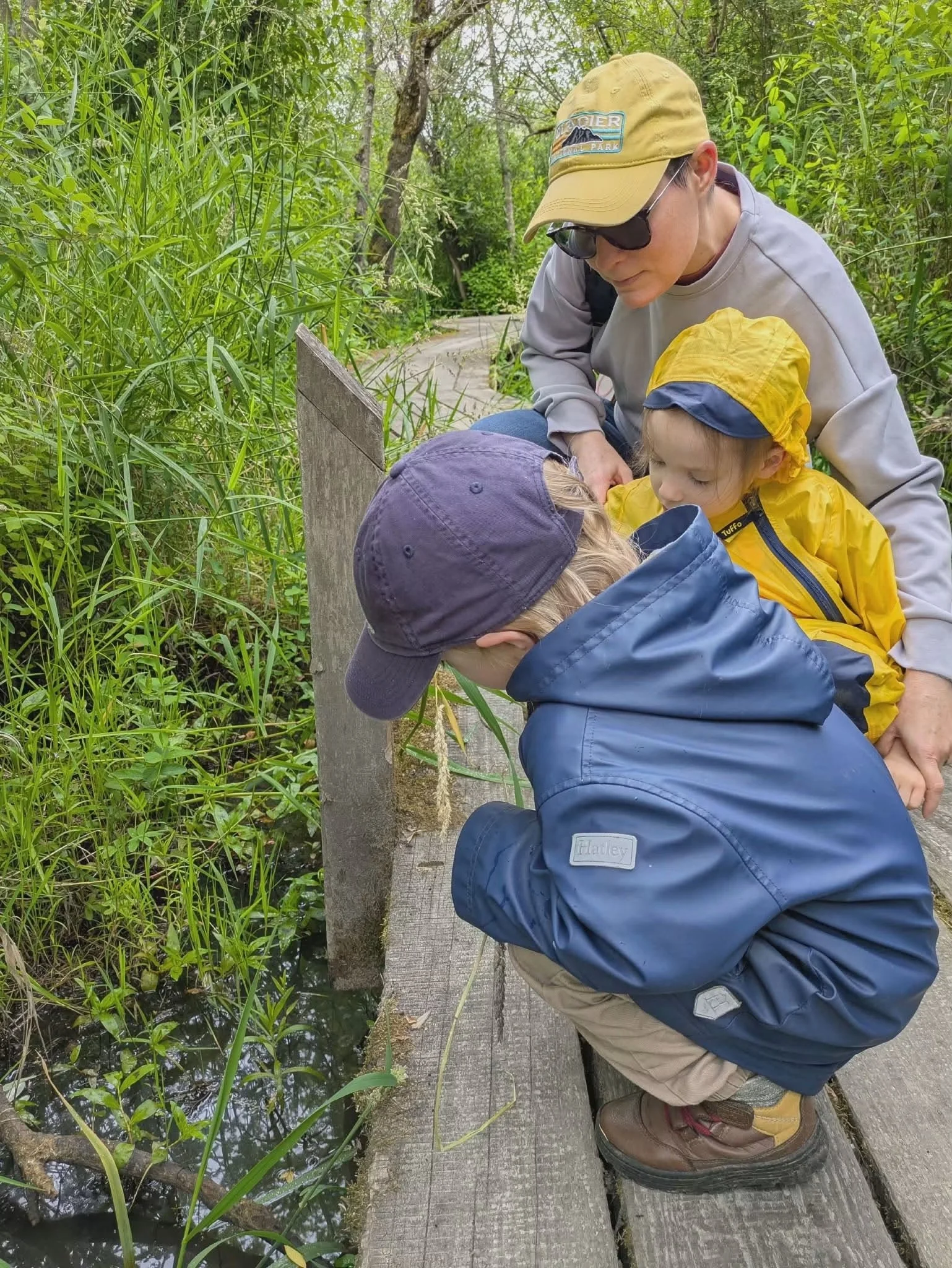 Two kids and an adult observe aquatic life through the water in a natural wetland area, standing on a wooden dock surrounded by green vegetation.