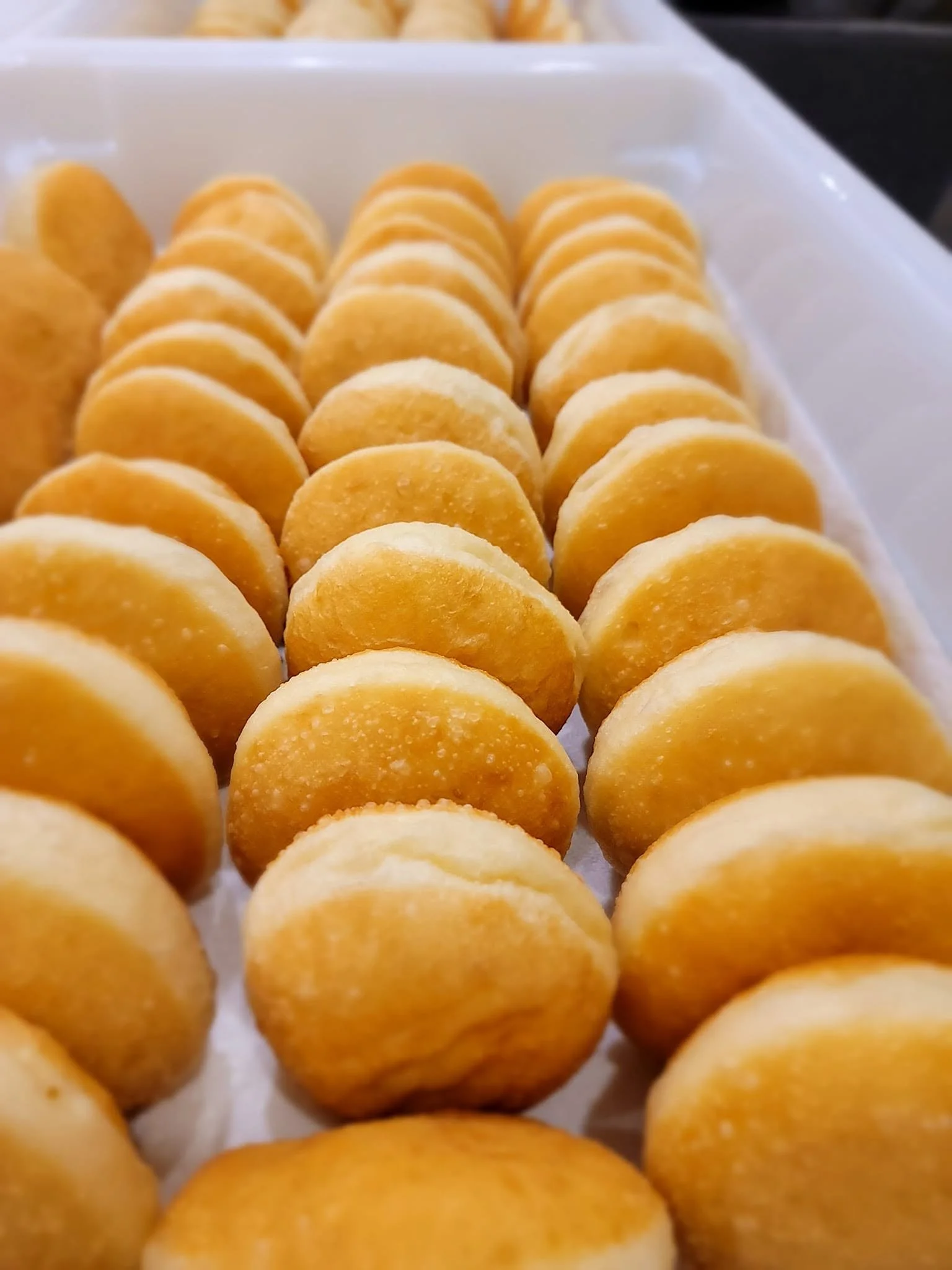Close-up view of small, round, yellow cookies arranged in rows inside a white tray.