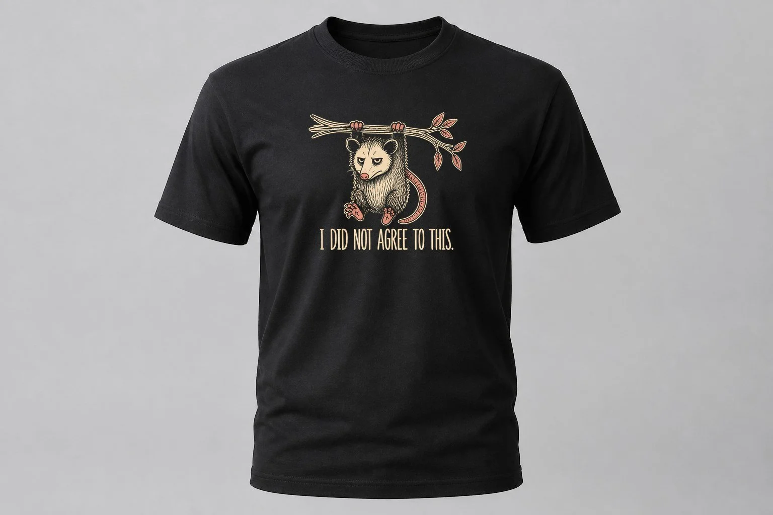 Did Not Agree Women's Tee