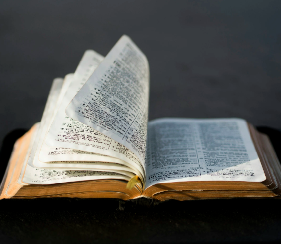Open Bible showing turning pages, set against a dark background.