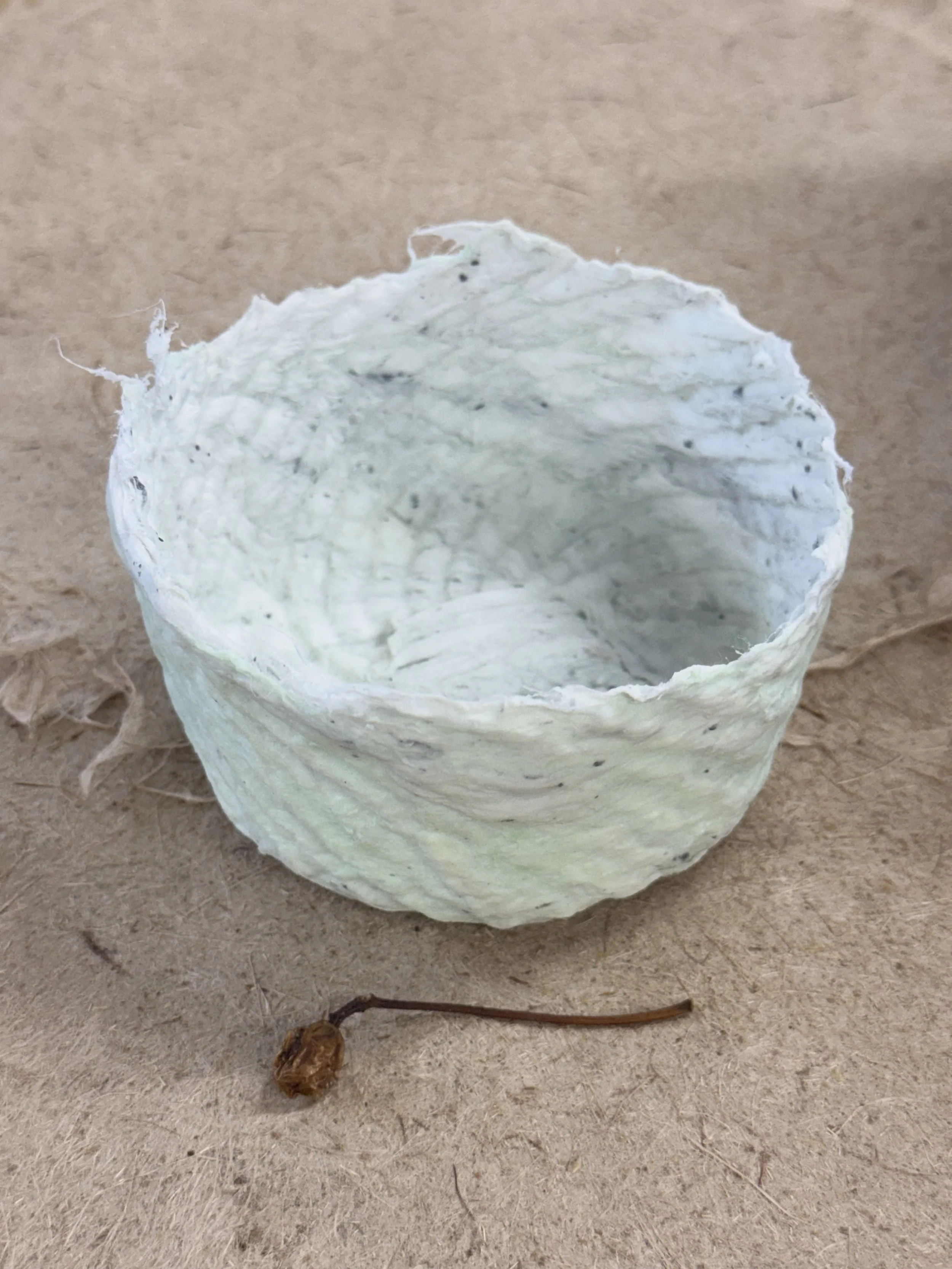 Vase-8-July-Cortes-Cardenas-Soap-cotton.jpg