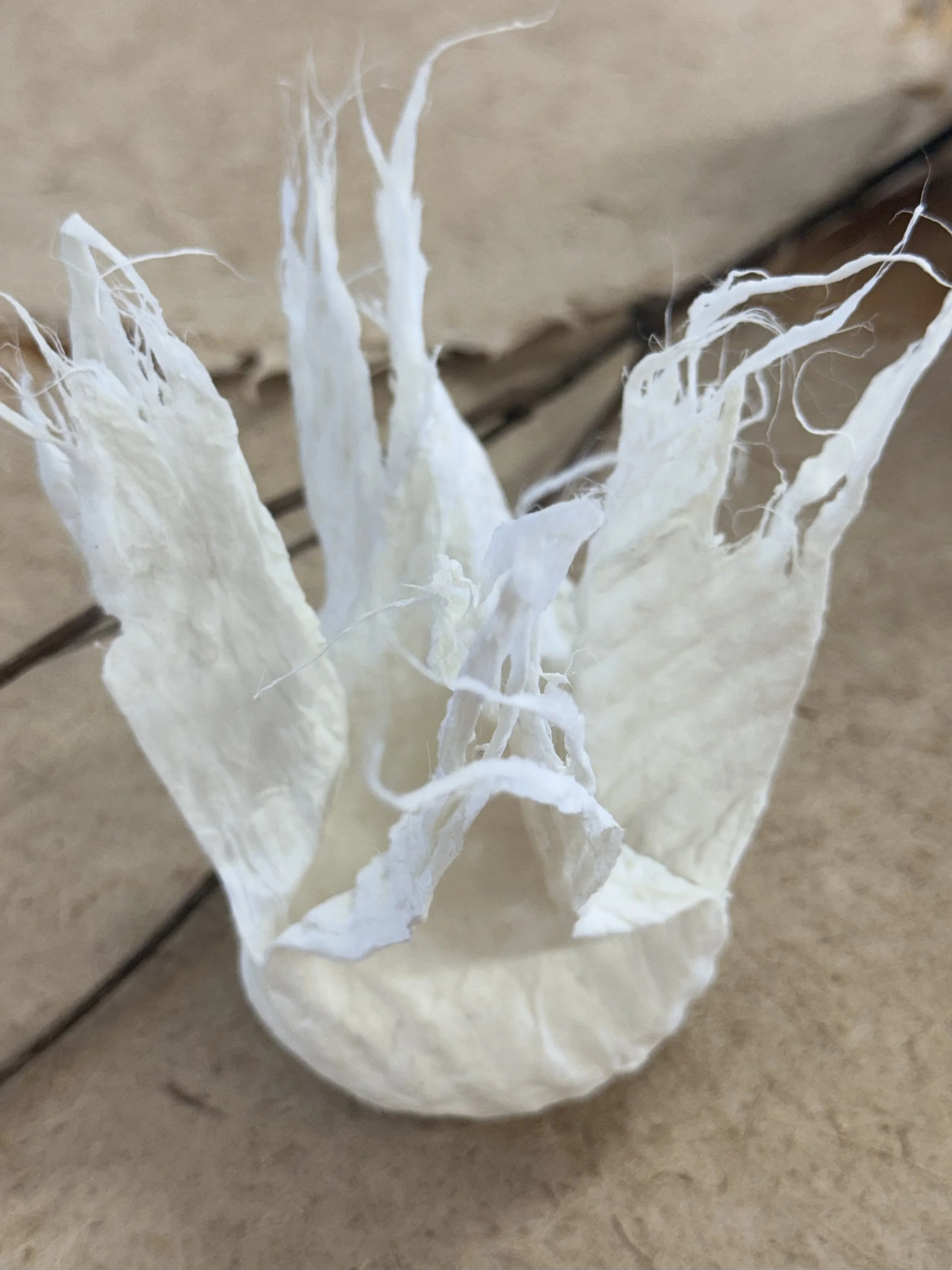 Vase-9-July-Cortes-Cardenas-Soap-cotton.jpg