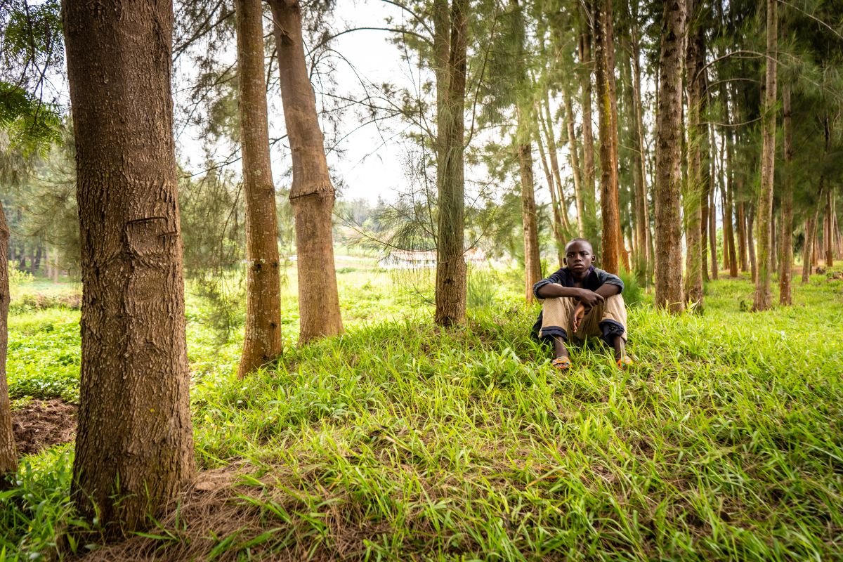 A cinematic narrative film still of a young boy sitting on the grass between tall trees in a lush green forest landscape in Kigali, Rwanda for the documentary, A New Rwanda.
