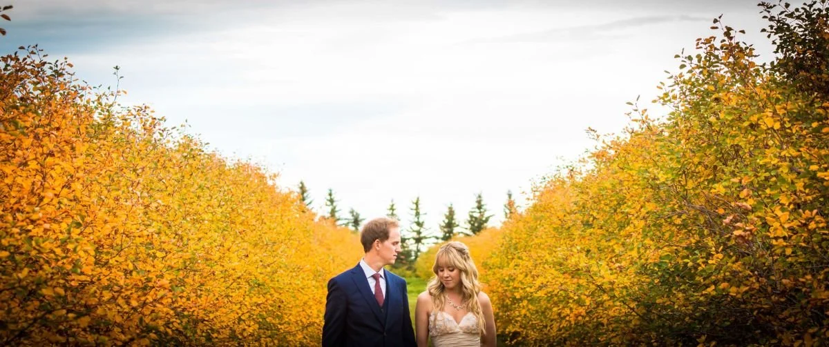 A bride in a beige tulle maxi dress stands beside a groom in a rich navy blue suit along a large symmetrical path bordered by vibrant yellow autumn foliage at The Saskatoon Farm venue during an Alberta destination wedding, captured by a Winnipeg wedd