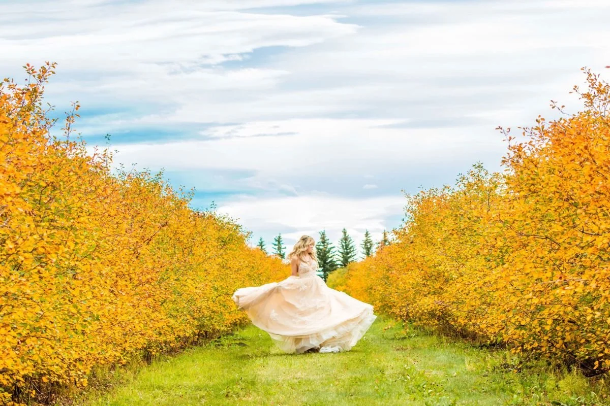 Click to explore the full Alberta destination wedding gallery for this autumn bridal portrait session shot at The Saskatoon Farm.