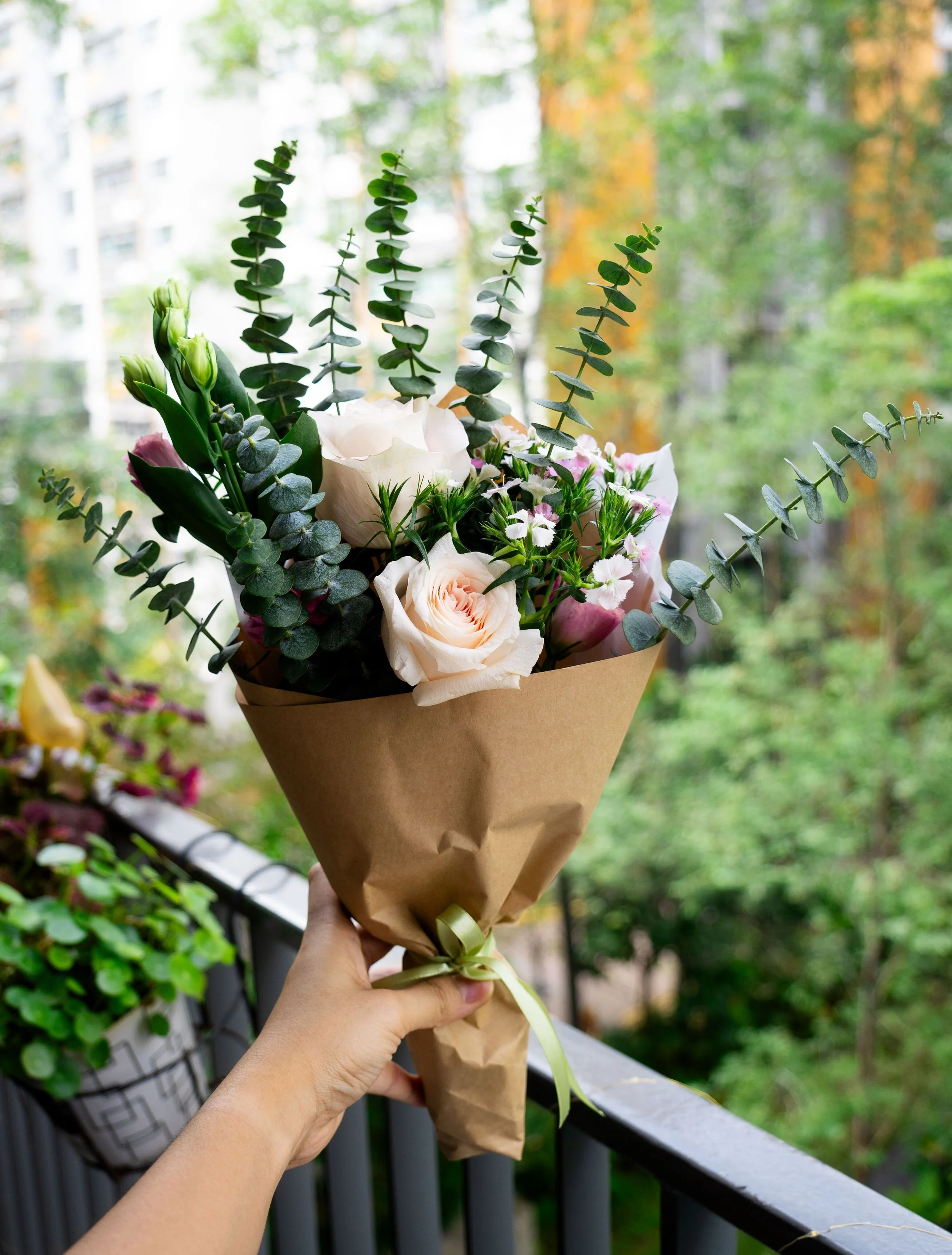 DSC05970-crop.jpg