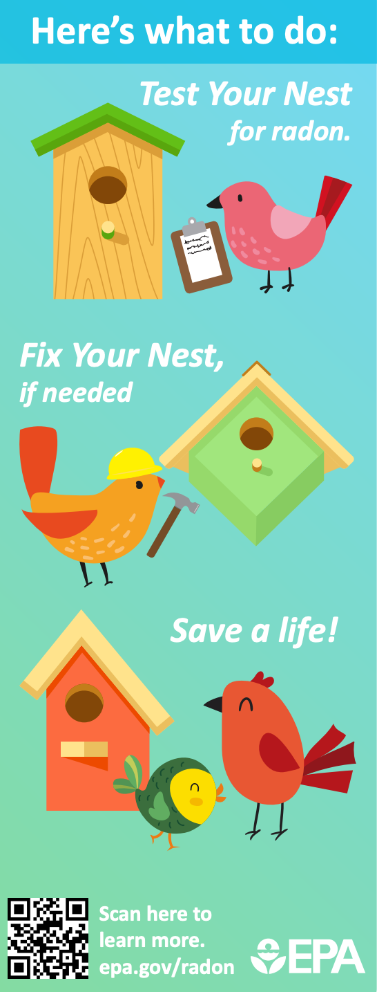 An educational infographic about testing bird nests for radon and fixing them if needed, featuring illustrated birds, birdhouses, and a QR code for more information.