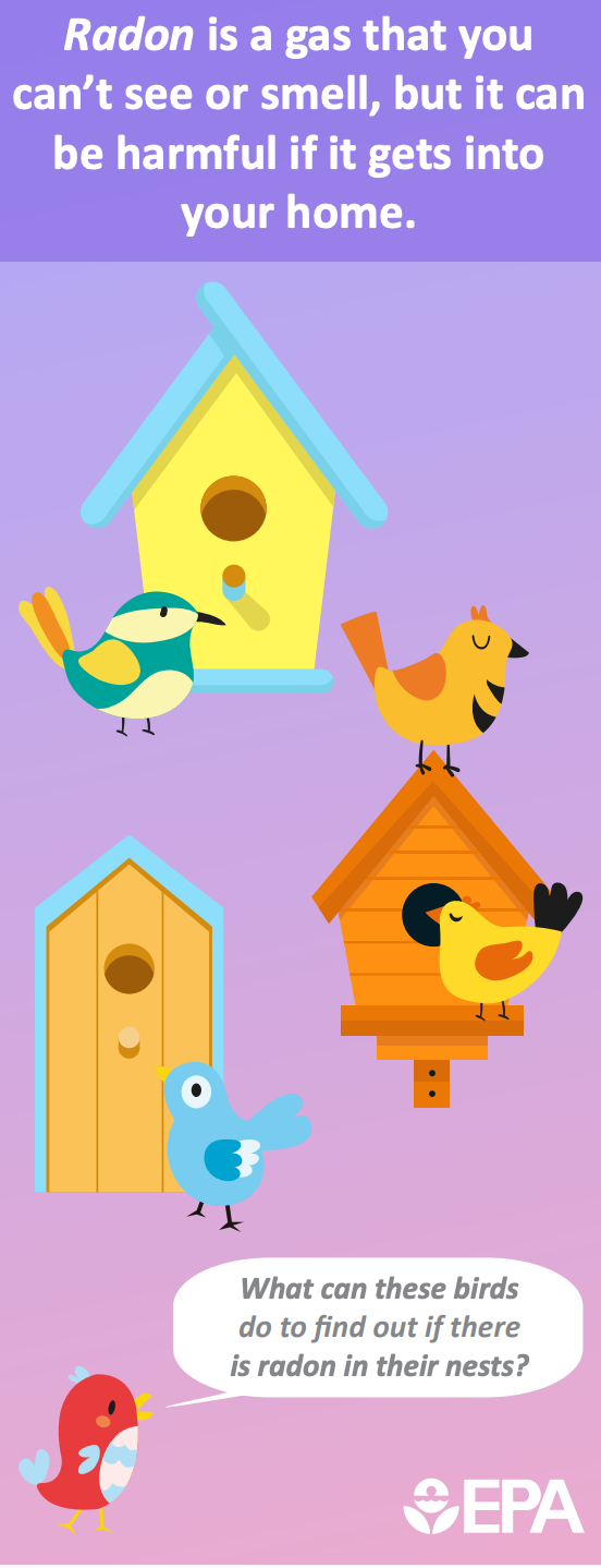 Illustration with colorful cartoon birds and birdhouses on a purple background, conveying information about radon gas health risks.