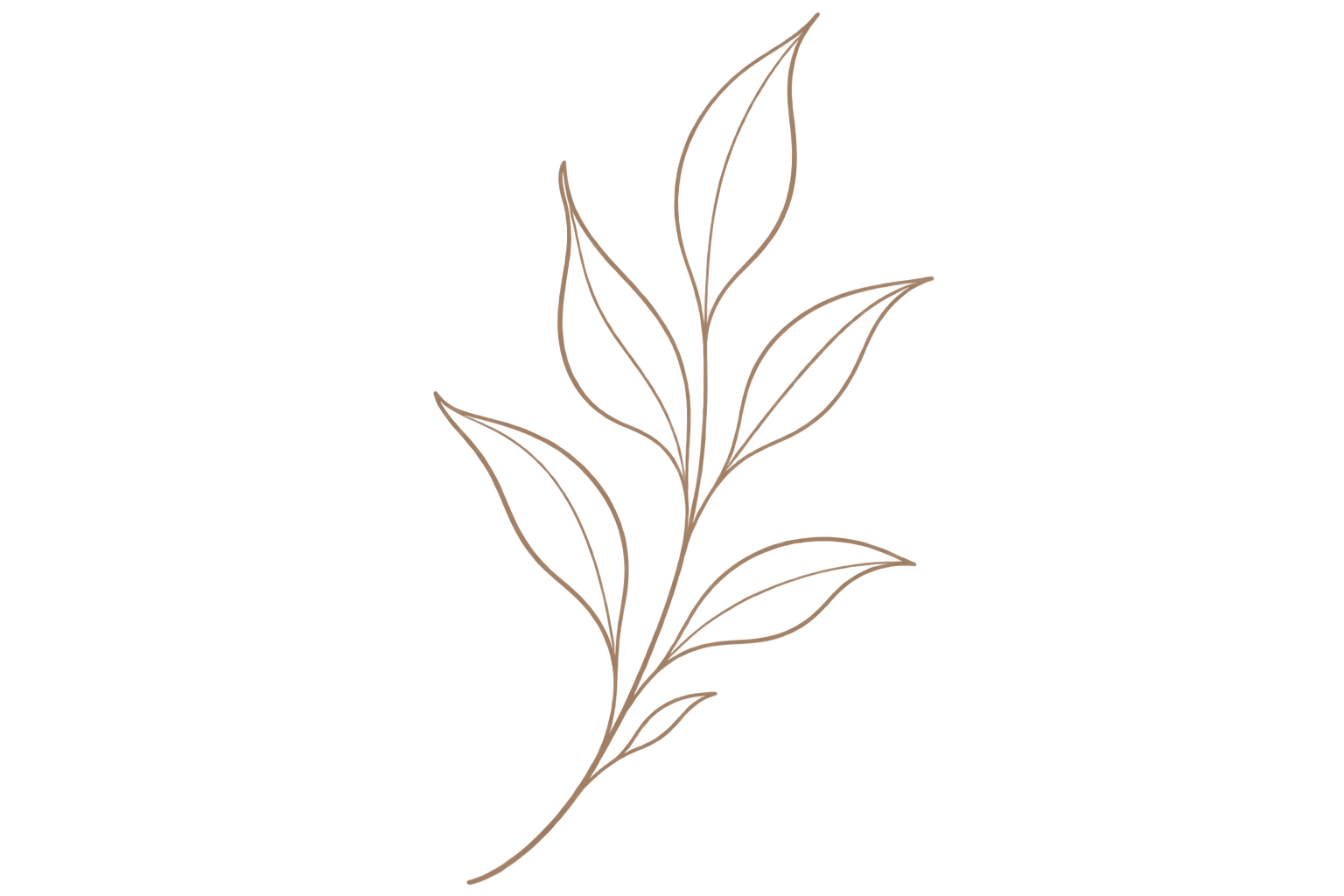A hand-drawn sketch of a plant with elongated leaves on a black background.