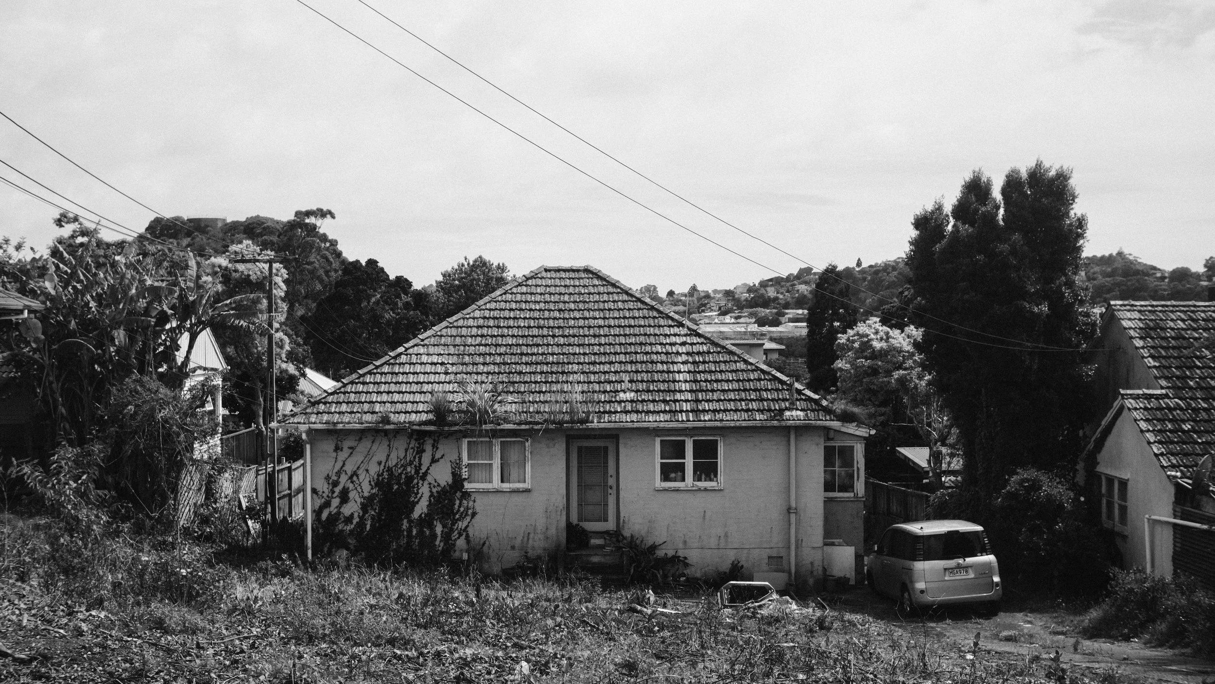 DSCF0561.jpg