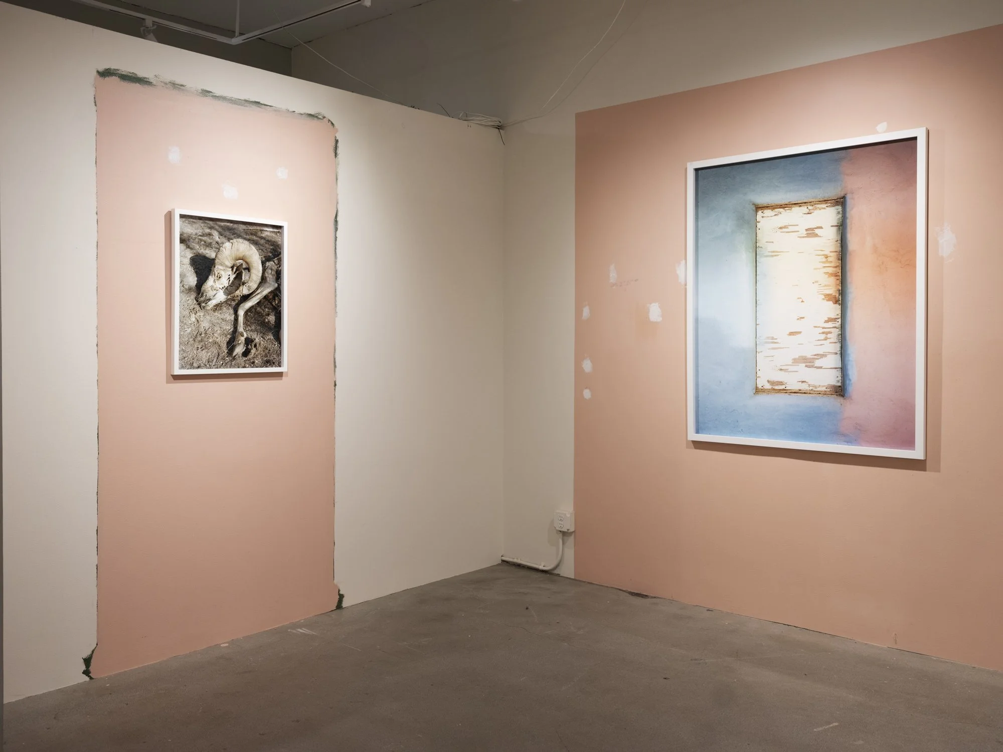 tracylchandler_apoorsortofmemory_installation-1.jpg