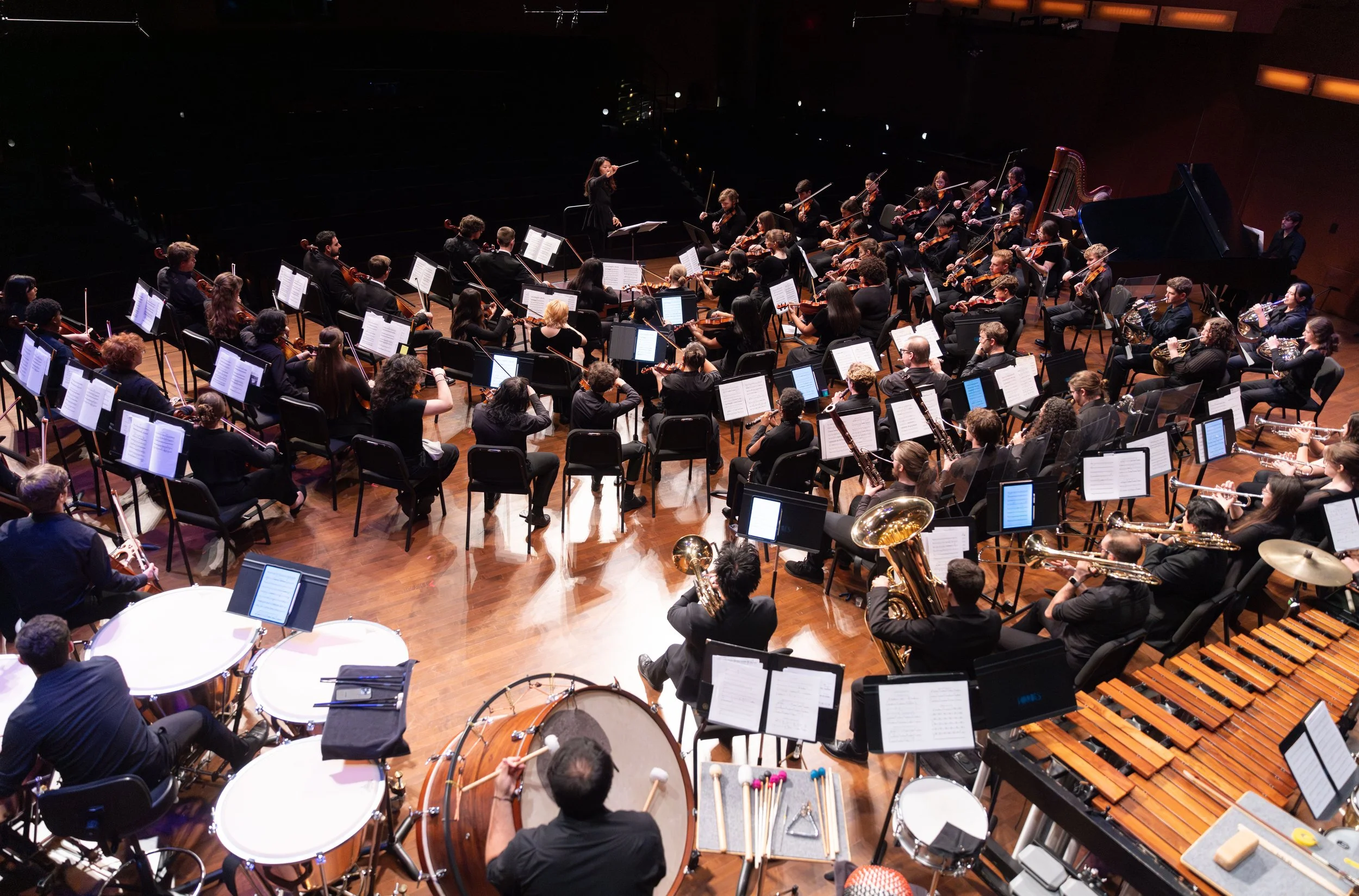 Orchestra performing on stage with various musicians playing string, brass, and percussion instruments, led by a conductor in a black dress.
