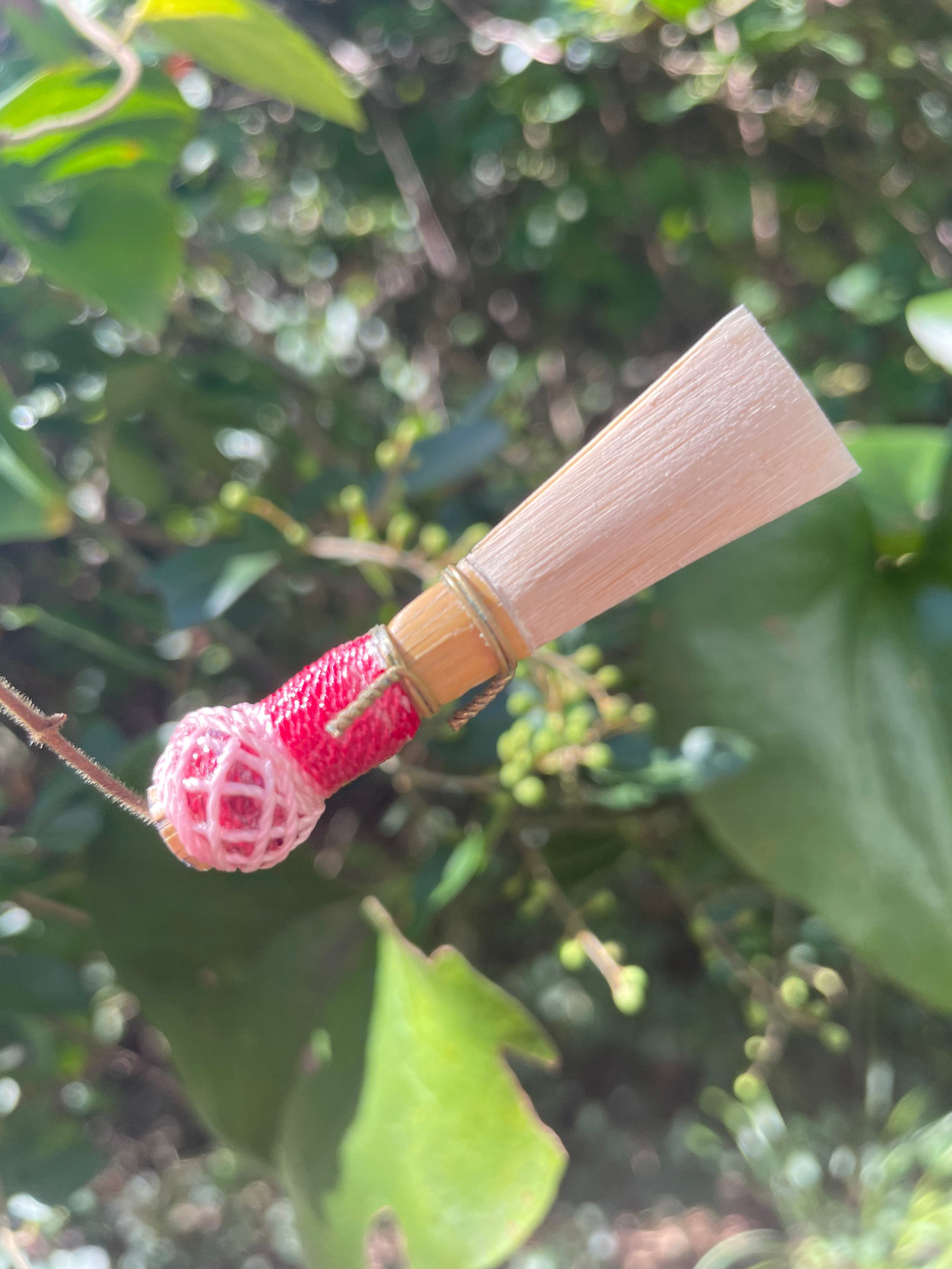 Close-up of a small decorative bamboo bassoon reed with a red string and a pink netted ball, hanging among green leaves and branches in the background.