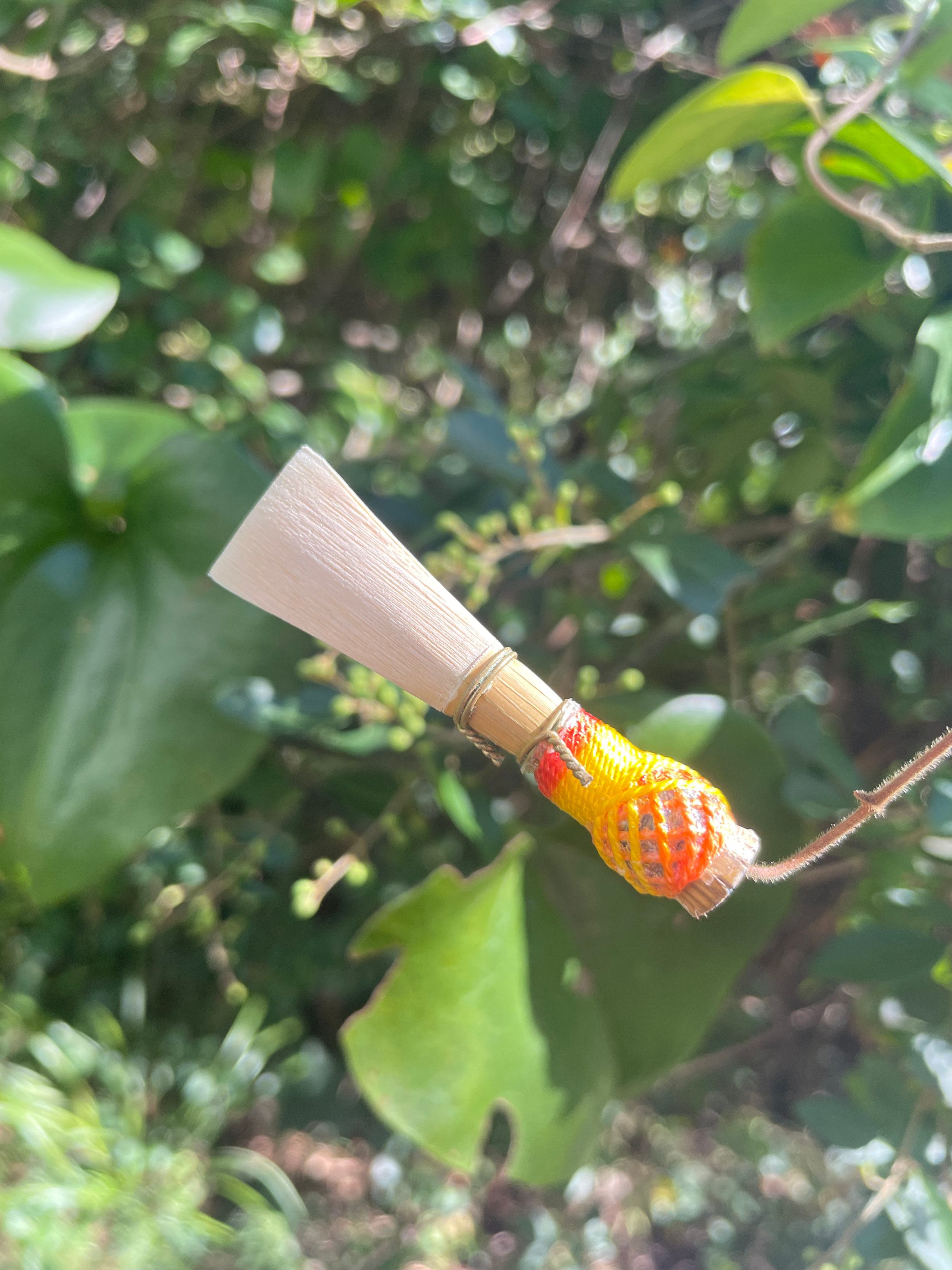 A small bamboo bassoon reed with a red and yellow pattern, hanging from a branch amidst green leaves.